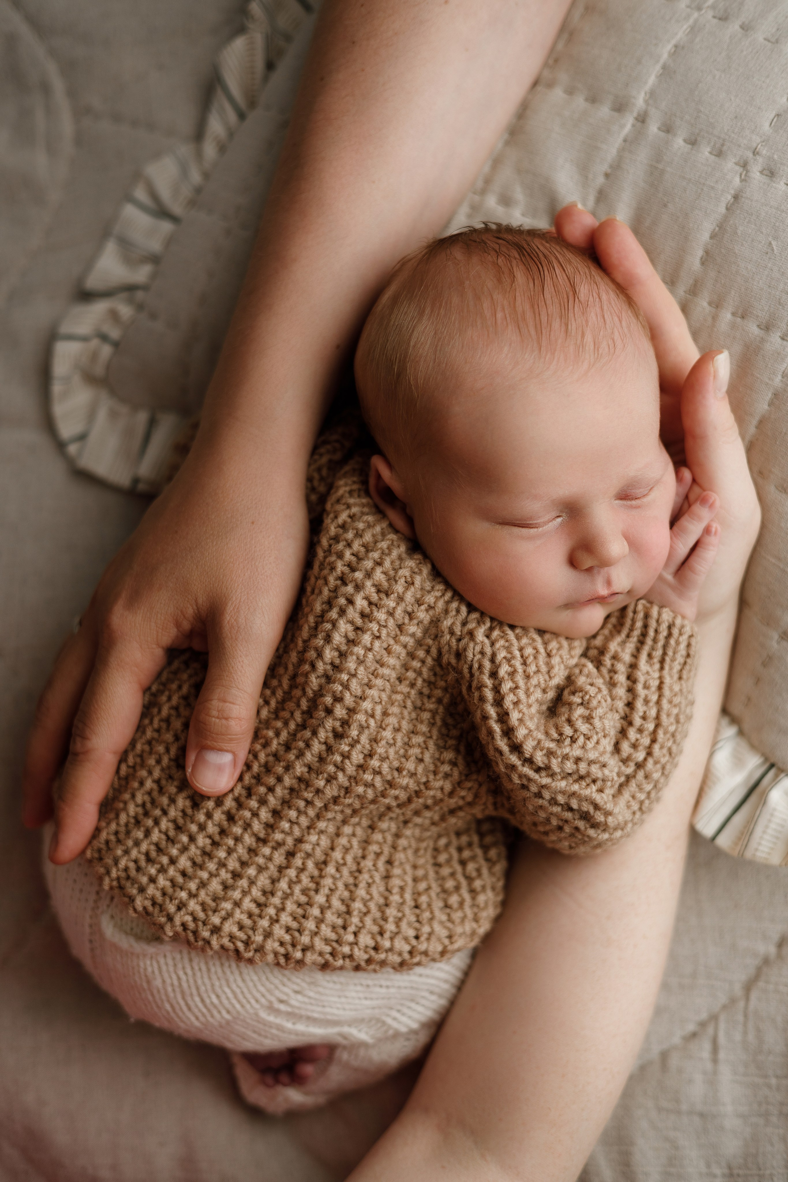 Лев пакет Малыш и семья с фотокнигой. Фотограф новорожденных ньюборн newborn в Краснодаре Алена Гребенькова