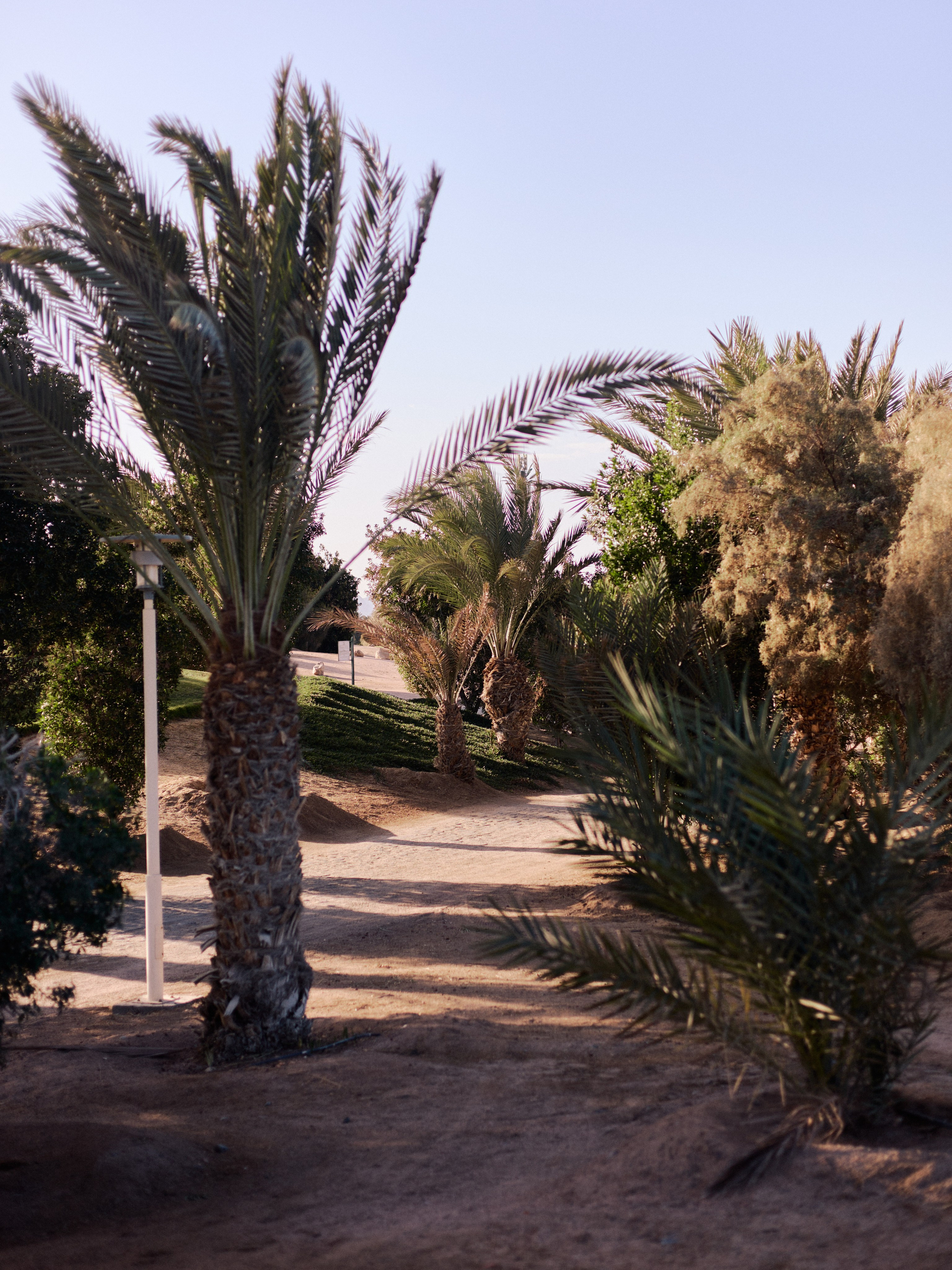 Другое 4. Jorgis — фотограф в Хургаде / обучение фотографии