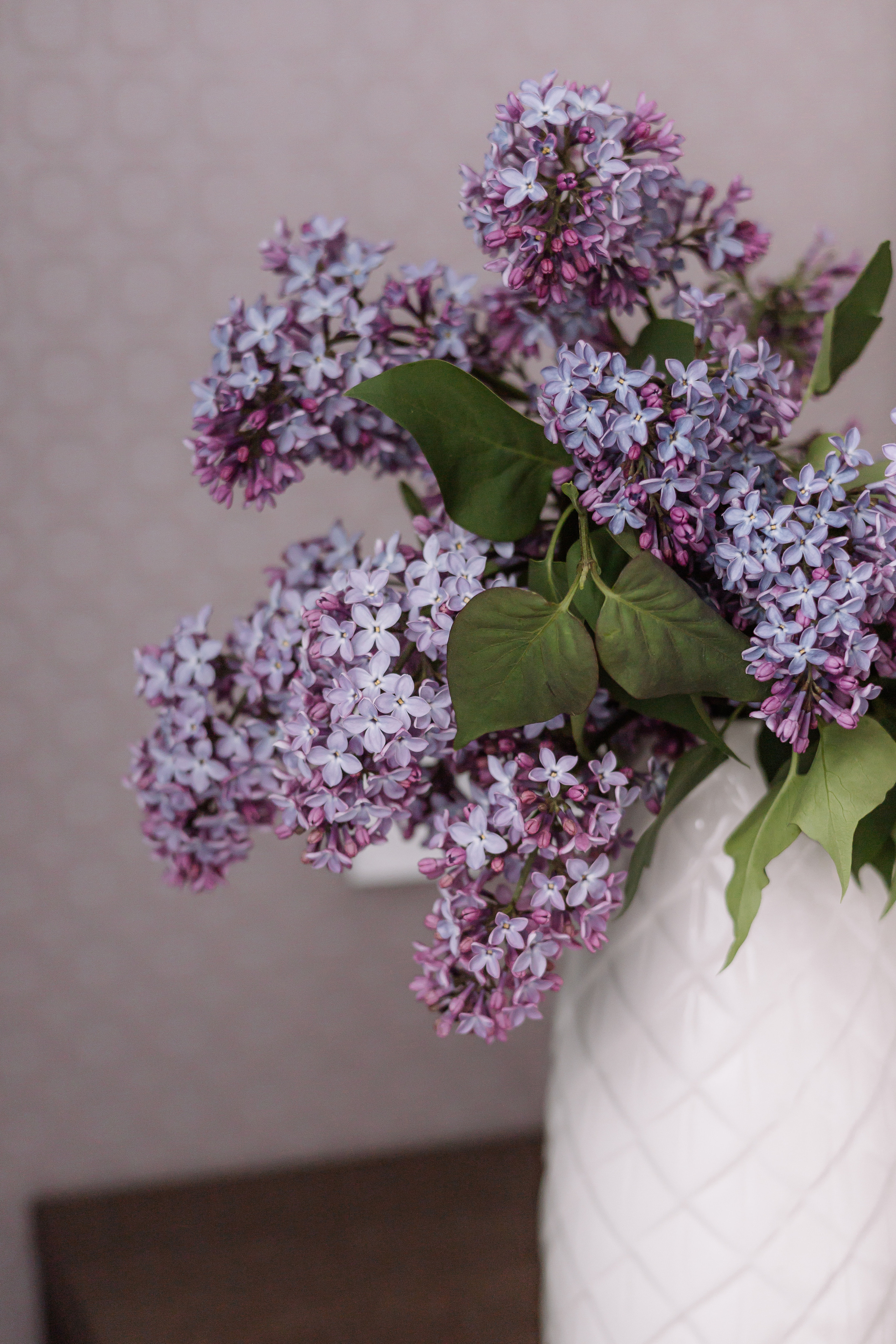 Домашняя & Хорошавины. Фотограф Уфа Башкирия Мухаметянова Алина. Свадебный семейный портретный