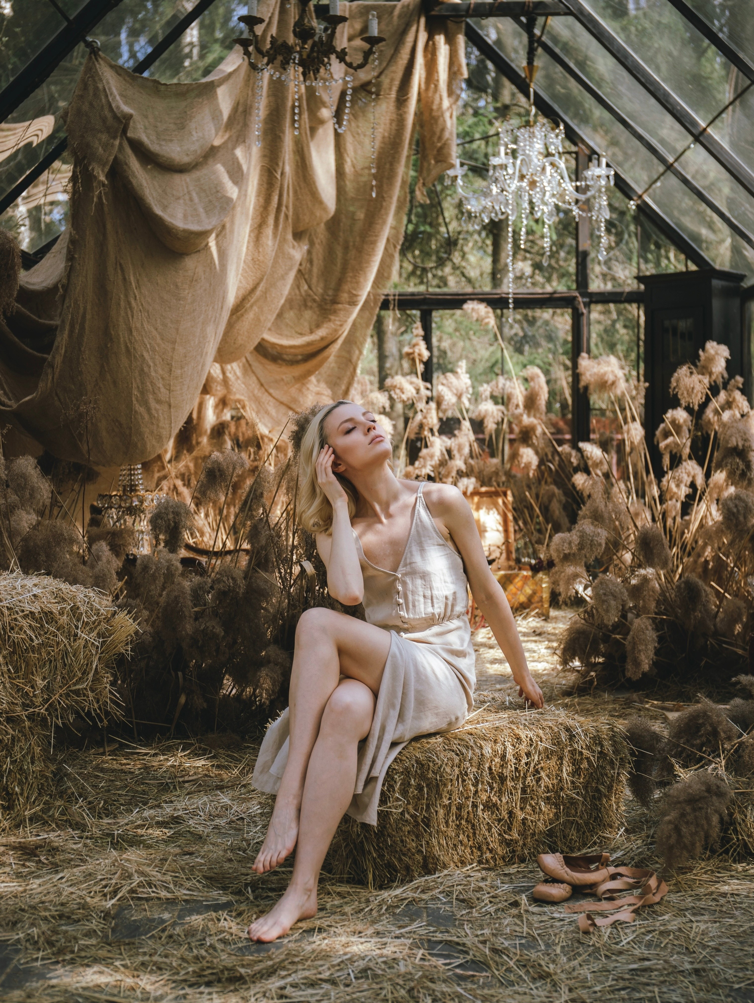 История со скрипкой. Свадебный и семейный фотограф в Москве Мила Широких