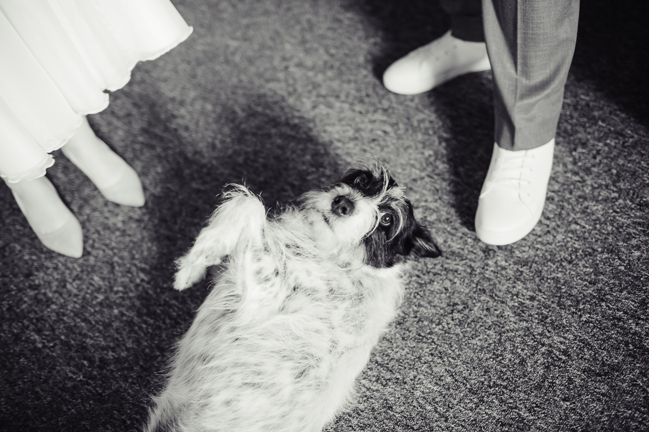 Евгения и Илья ЧБ. Свадебный фотограф в Москве Екатерина Огарская