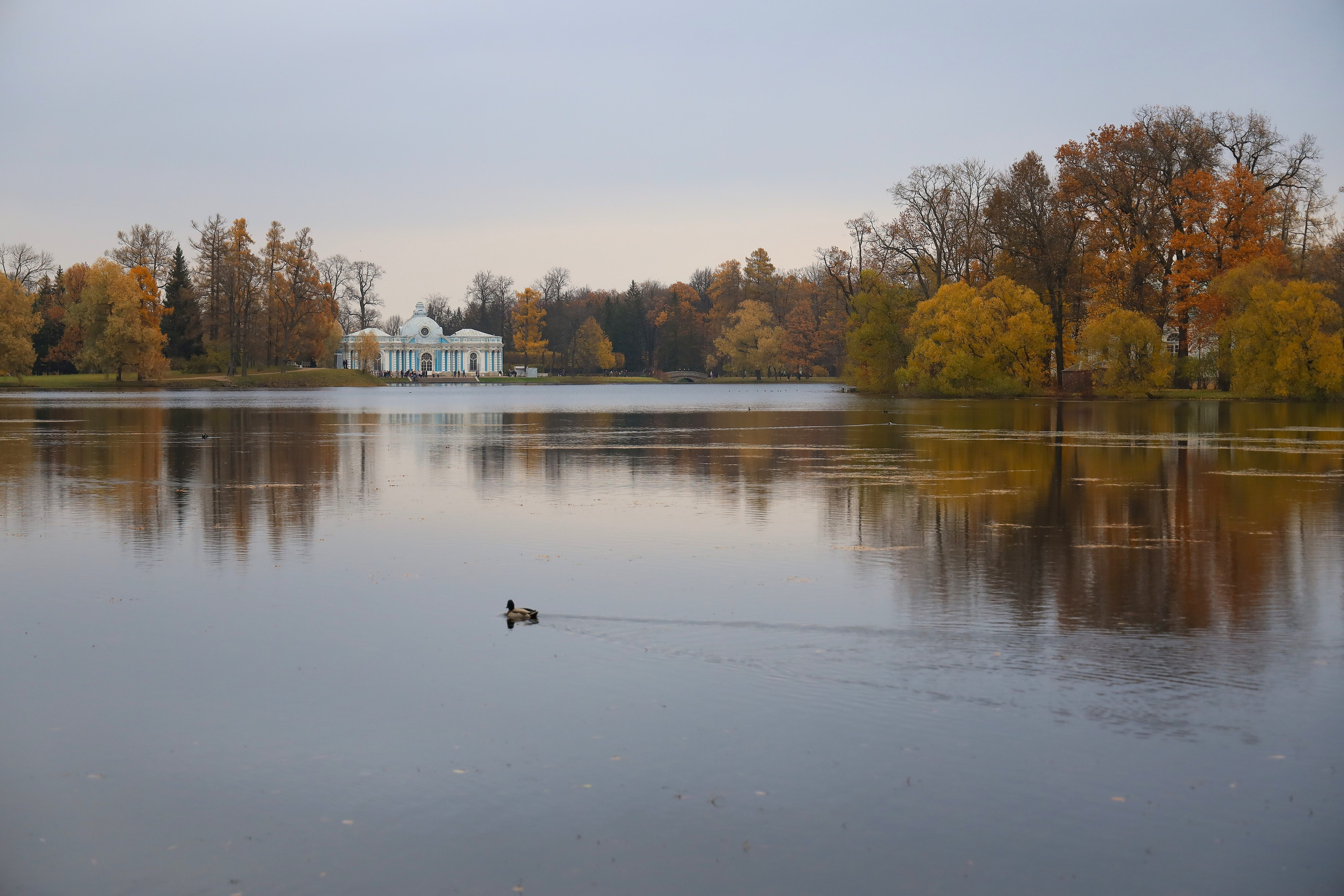 Мир вокруг нас. Разное. Фотограф Наталья Кузьмик г. Красноярск