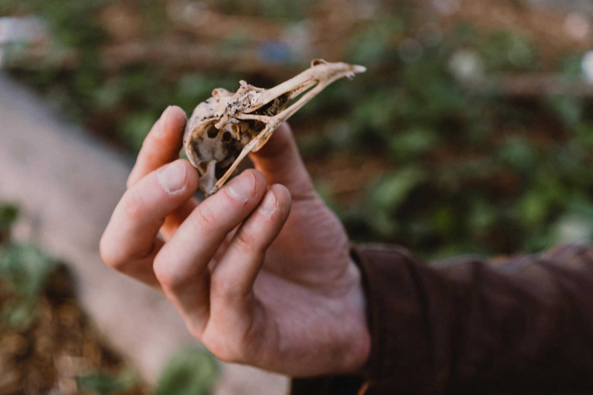 История Юлия. Фотограф Анастасия Арланцева