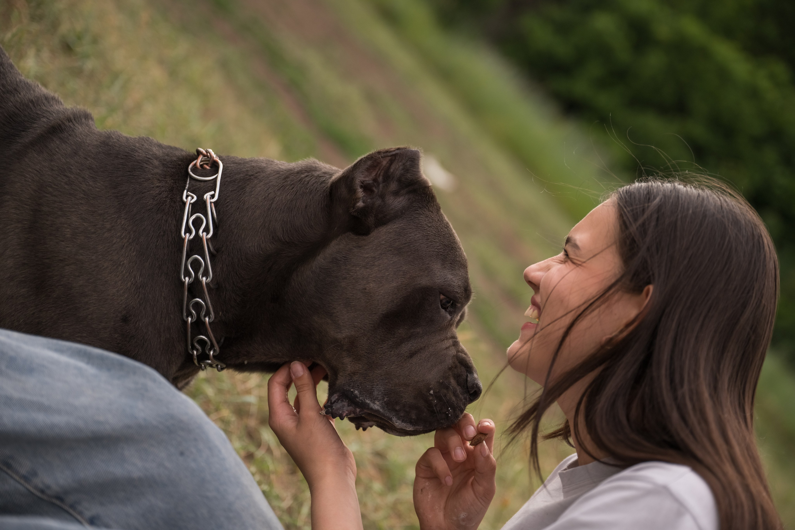 Дина, Яна и Лео. Фотограф Саратов Юлия Петрова