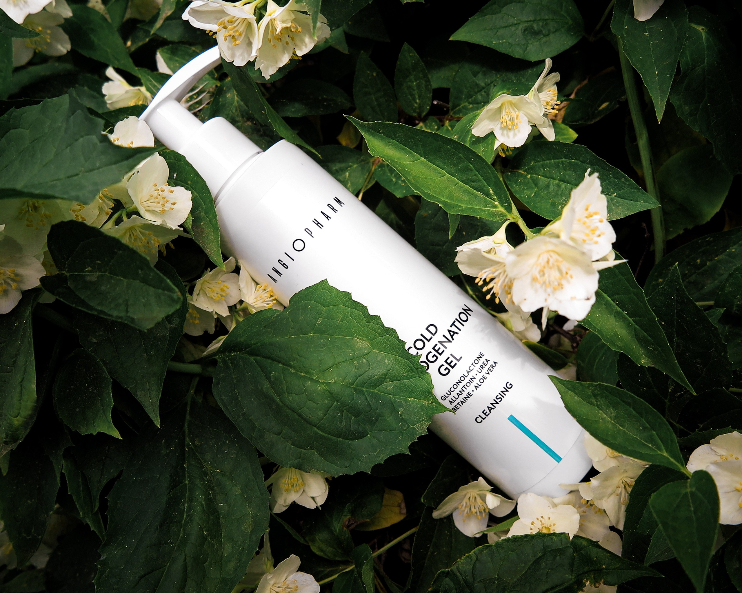 Предметная фотография. Фотограф Герман Колодный