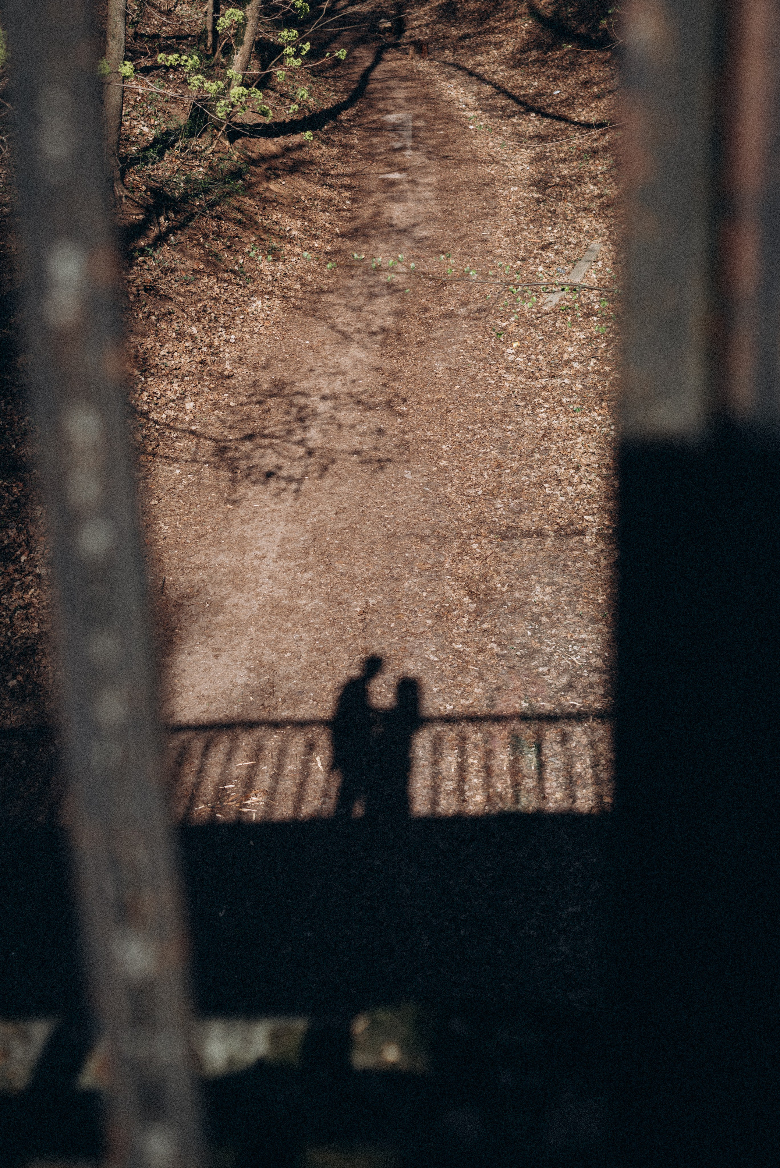 Love story. Семейный фотограф в Подольске Соколова Ольга