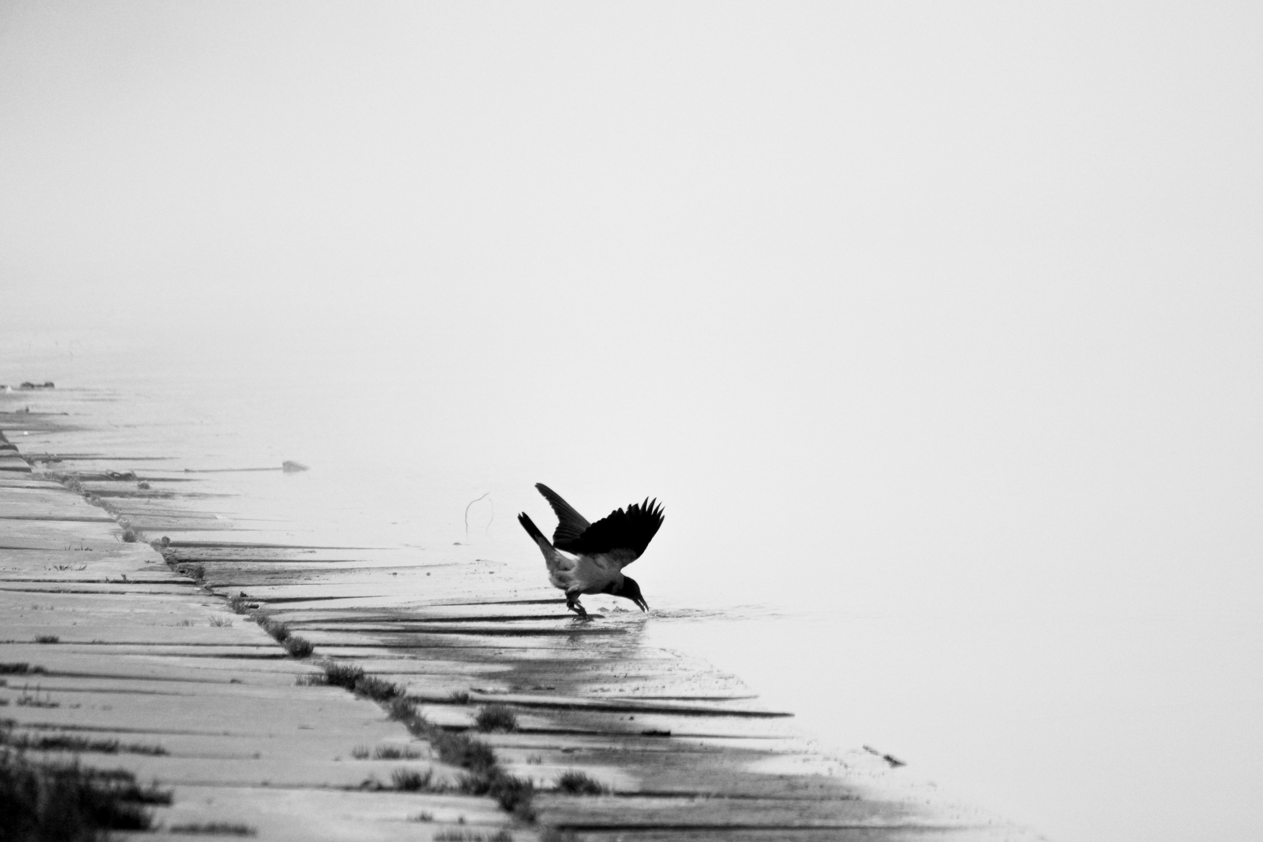 О себе. Фотограф Наталья Мершина