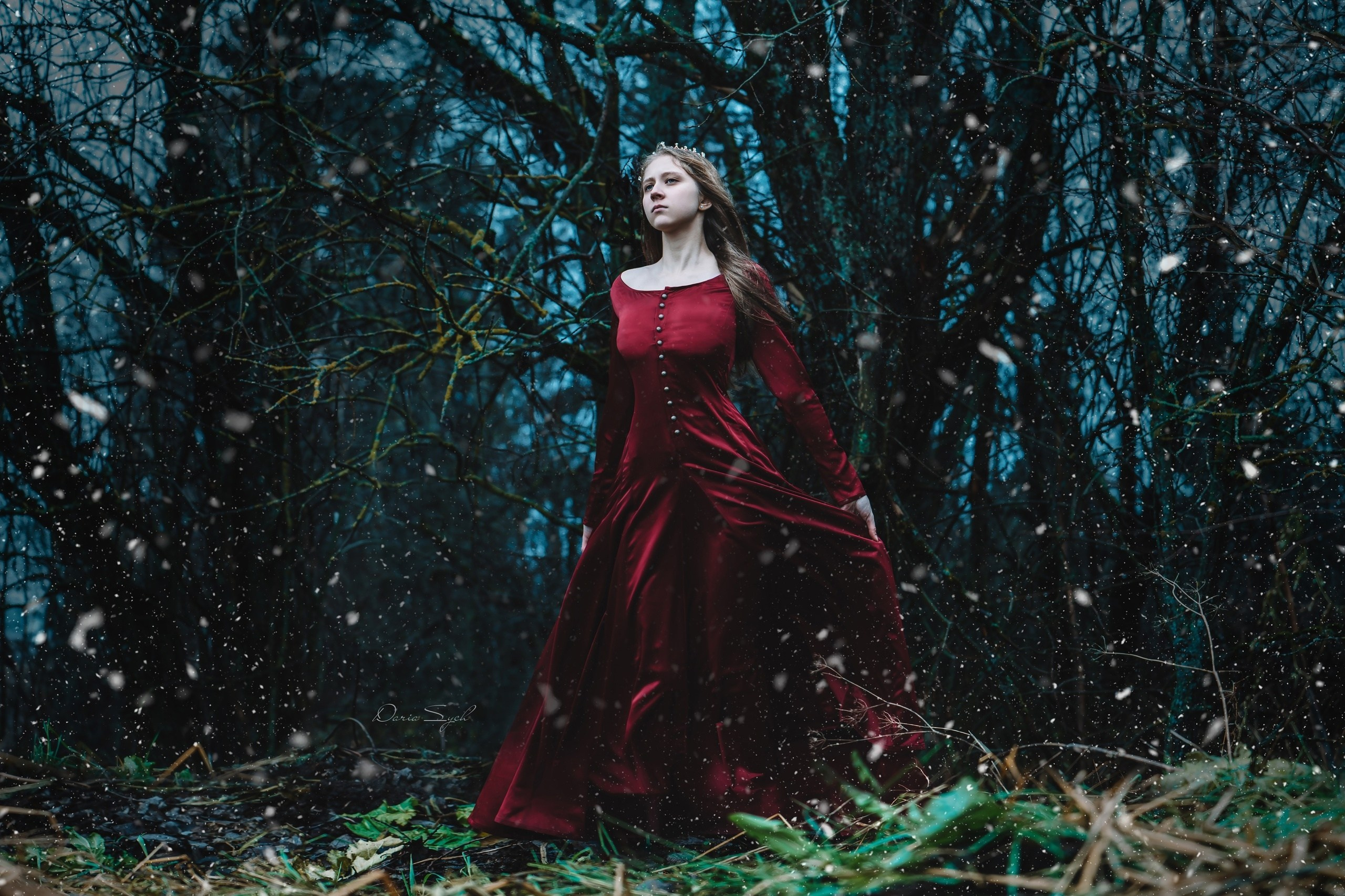 Волшебный лес. Фотограф Дарья Соколовская