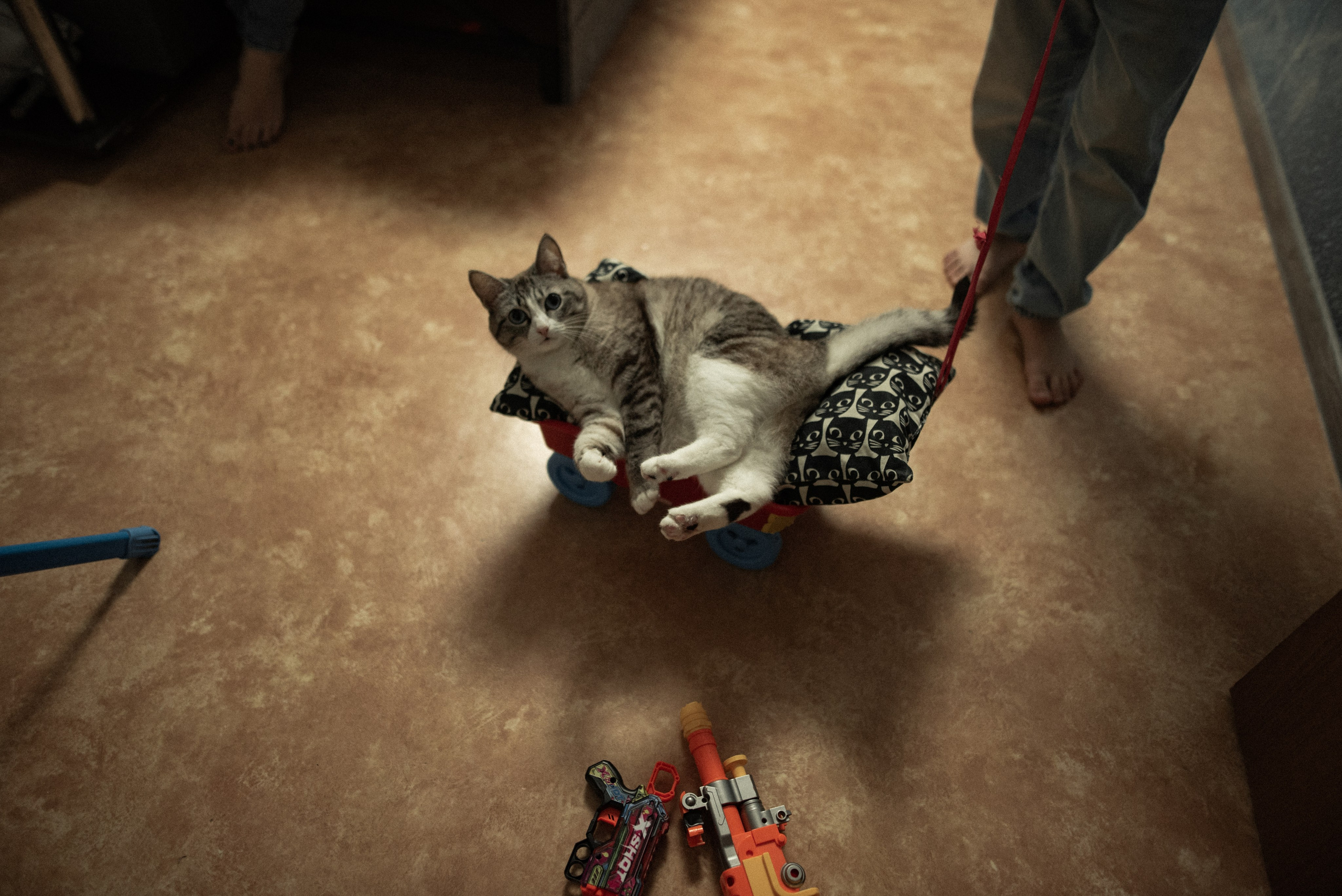 Домашняя осенняя история. Семейный и детский фотограф в Санкт-Петербурге Татьяна Дмитренко