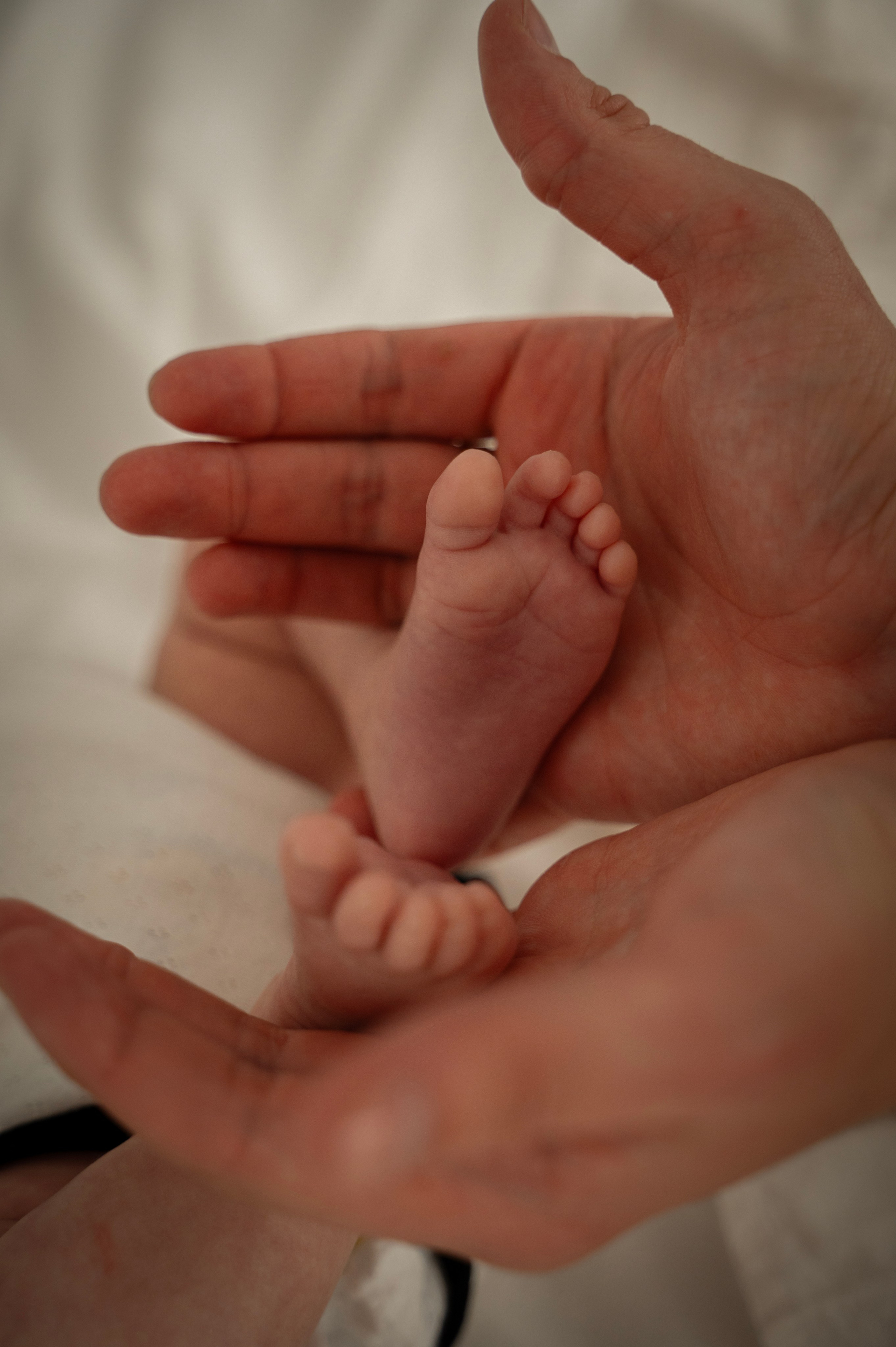 Дима, Камилла и Арсеша. Ваш фотограф в Крыму