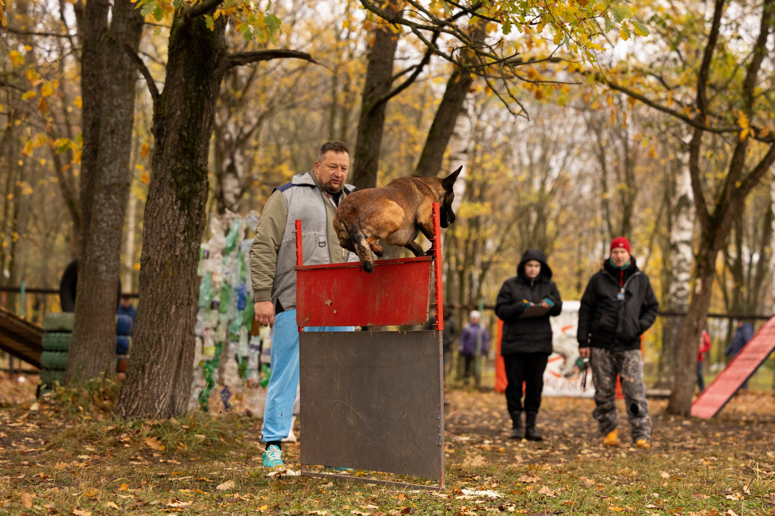 Соревнования по Мондьорингу г. Вологда. Фотограф-анималист Анна Маринич