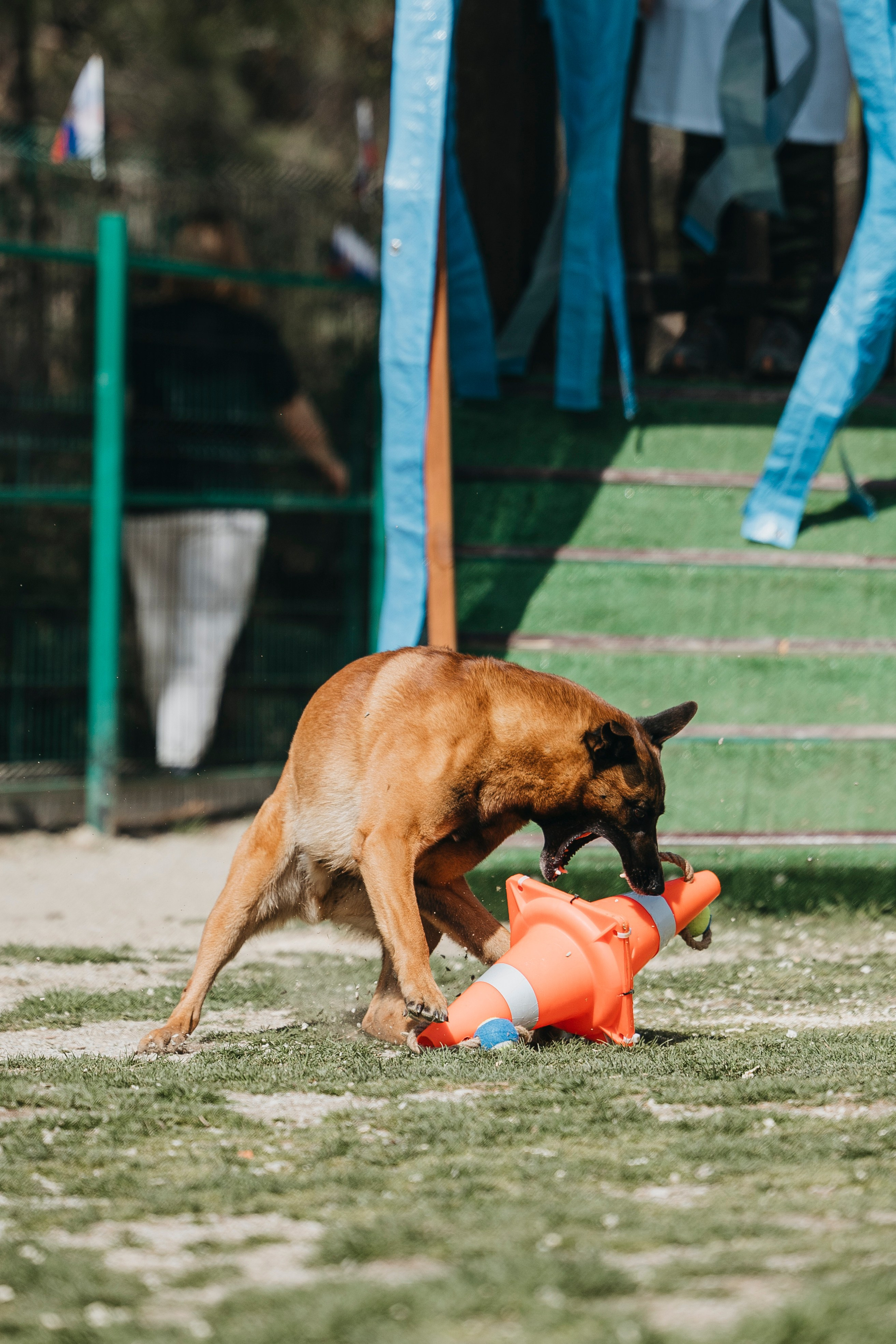 Геленджик Мондьоринг. Фотограф-анималист Анна Маринич