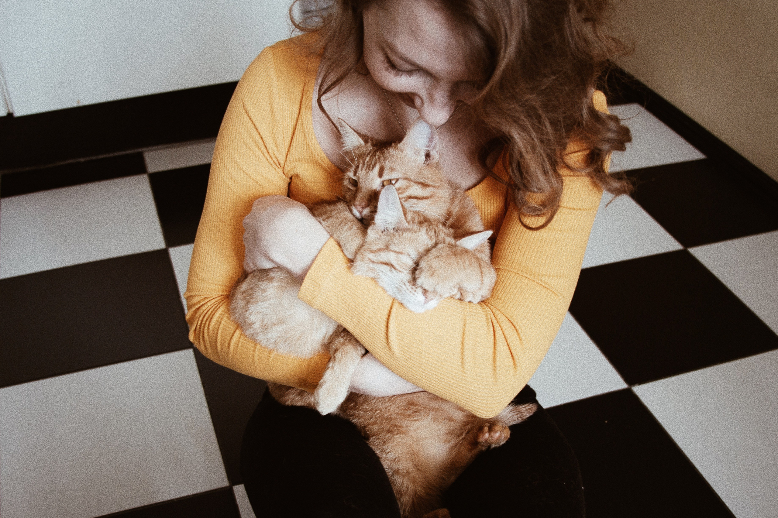 Катя, Булочка и Пирожок дома. Фотограф анималист Кристина Карпова, Москва