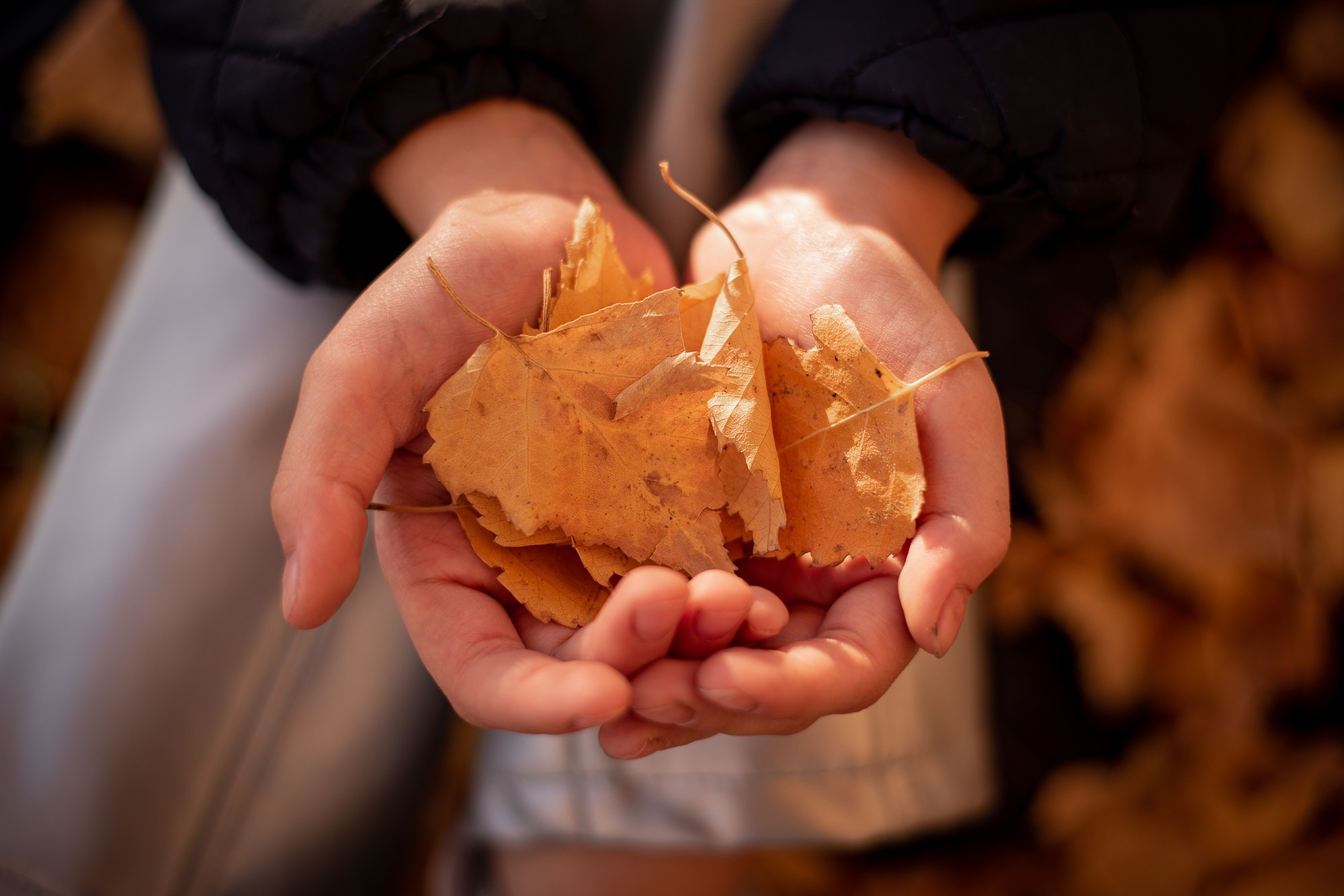 Золотые моменты. Приподаева Алёна семейный и детский фотограф в Красноярске