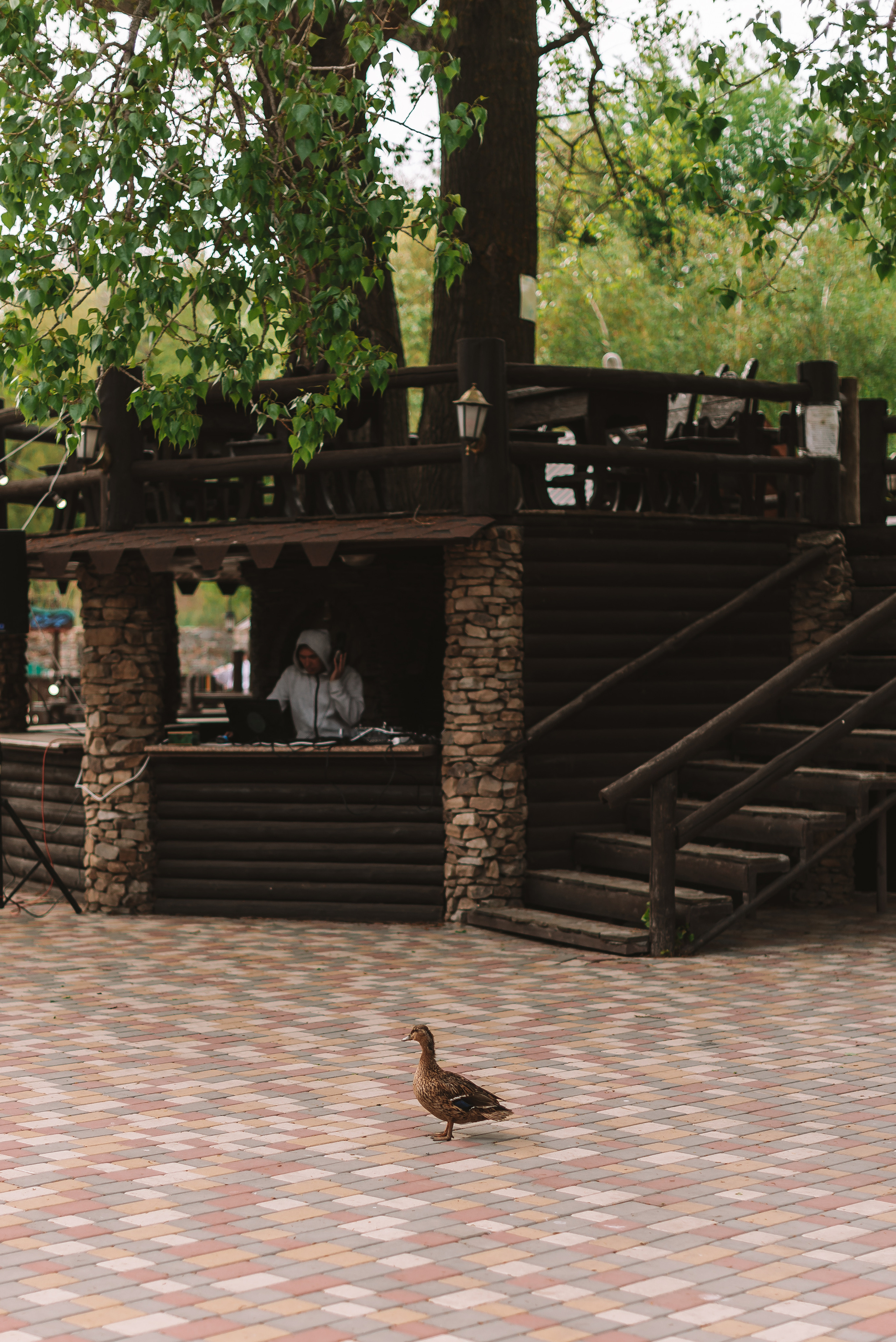 Кристина + Алексей. Свадебный и семейный фотограф в Волгограде Олеся Лисицкая