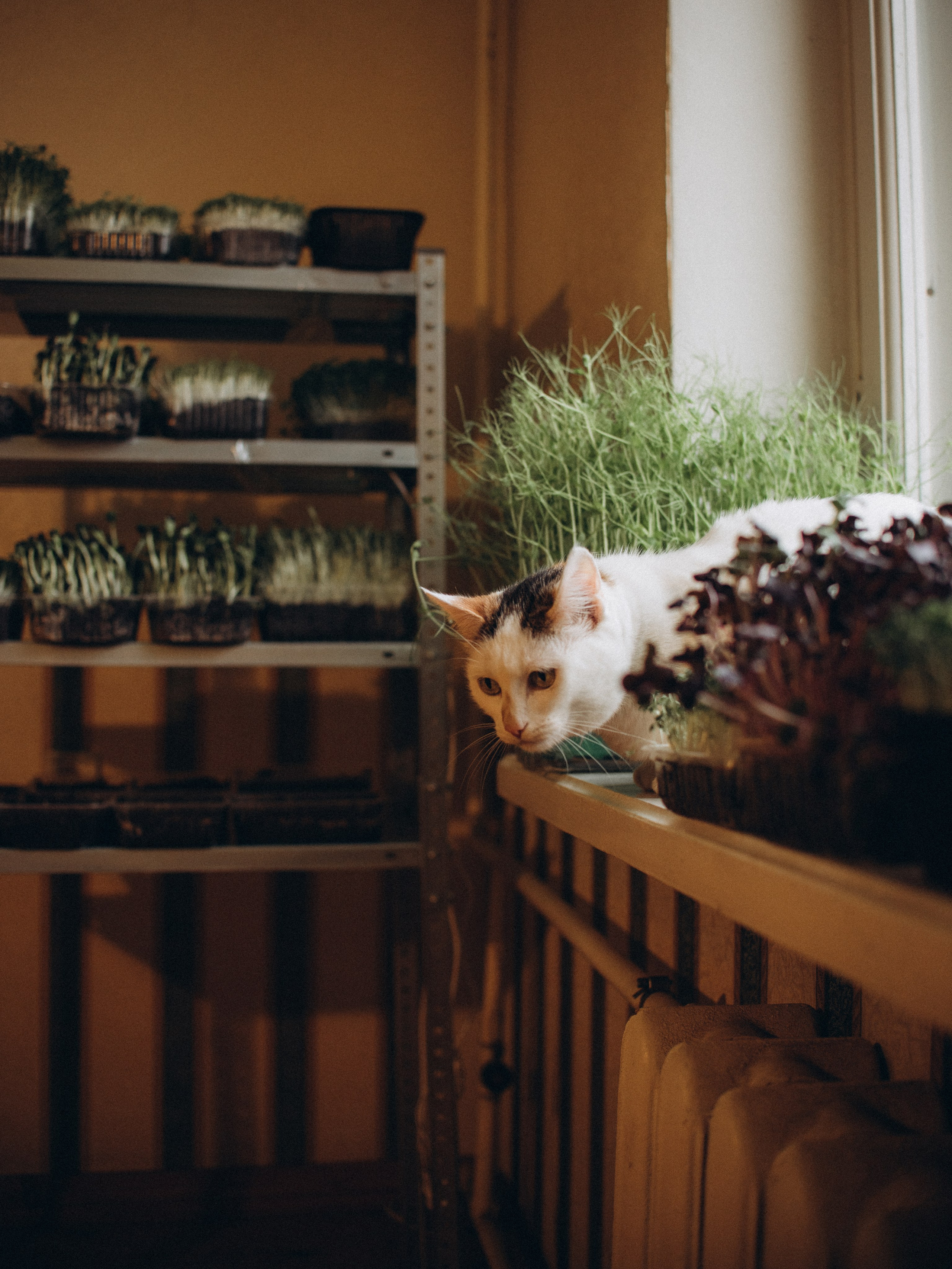 Лена Громова. Фотограф Любовь Подосенова Липецк|Воронеж