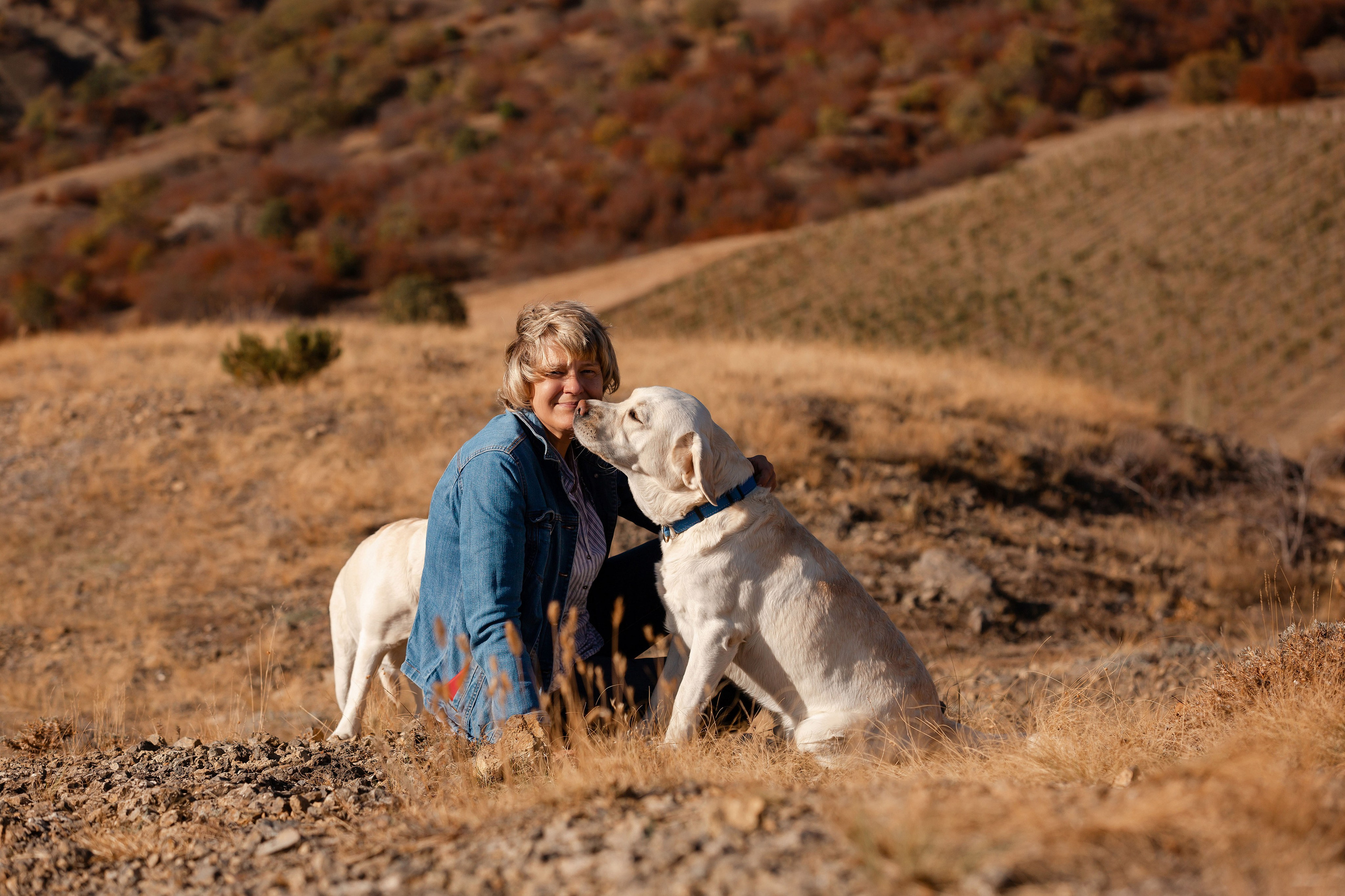 Лабрадоры и горы. Фотограф-анималист в Краснодаре Маша Мельникова