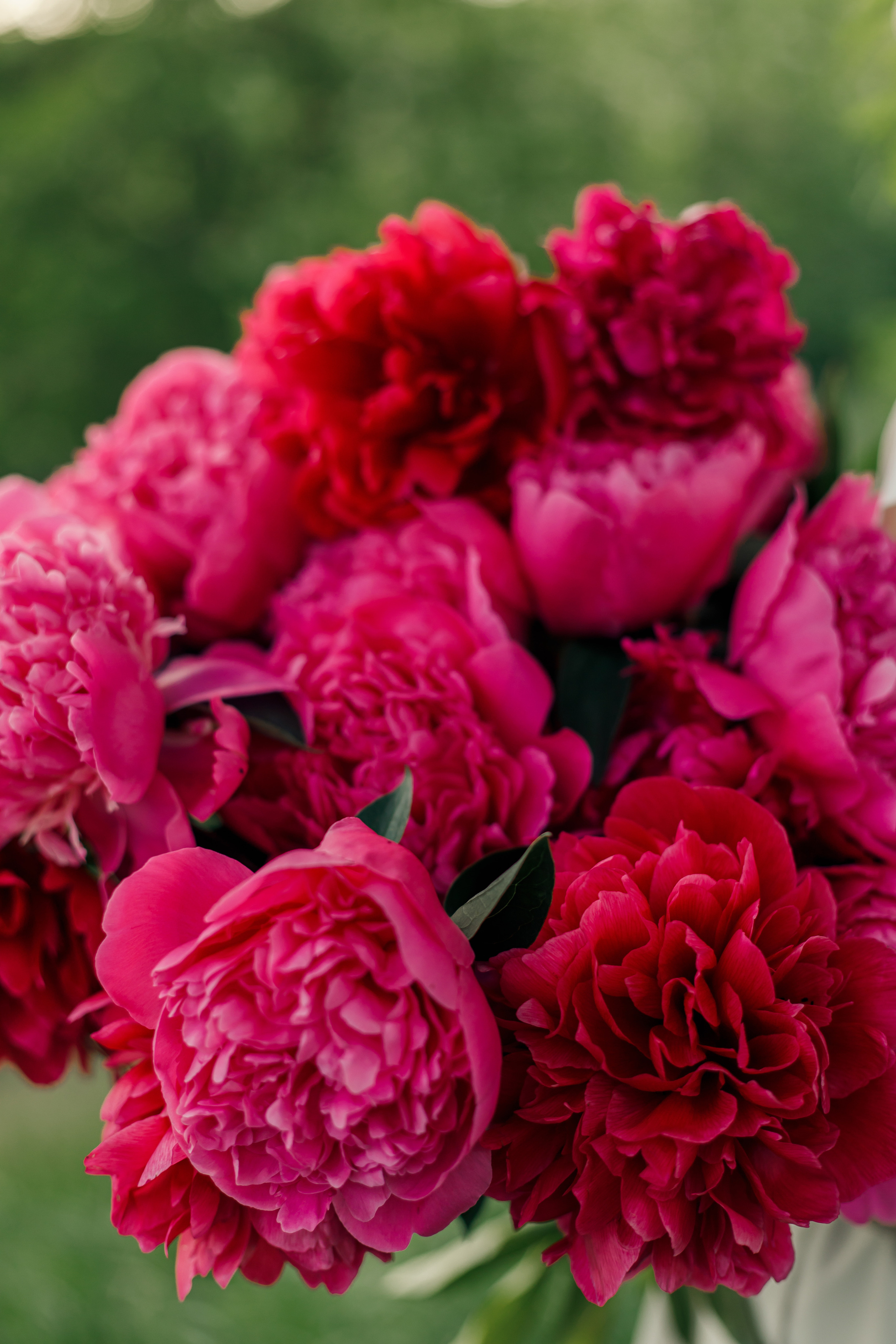 Фотосессия с пионами на природе. Свадебный и семейный фотограф в Краснодарском крае Мария Данилкина