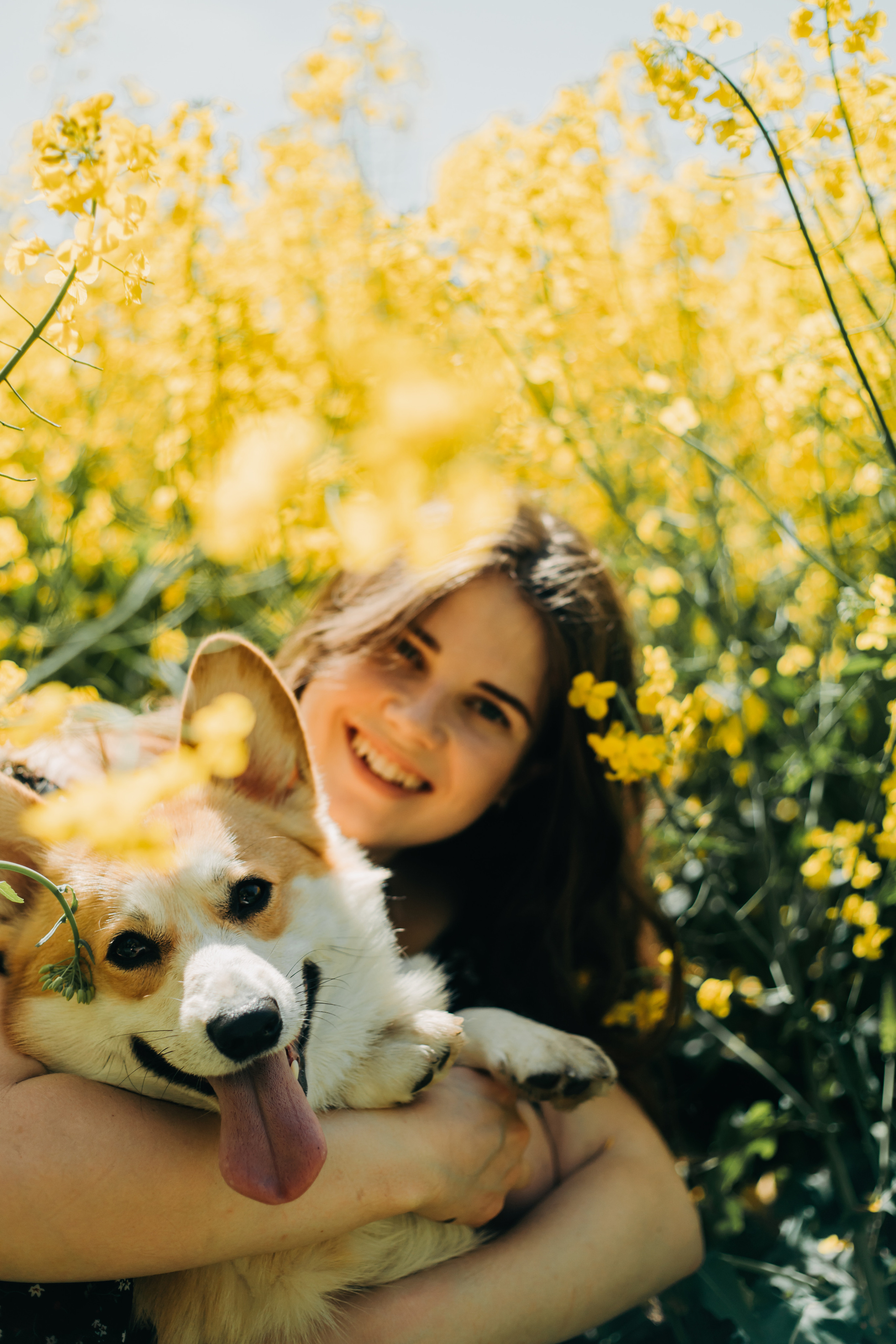 Фотосессия в рапсовом поле. Свадебный и семейный фотограф в Краснодарском крае Мария Данилкина
