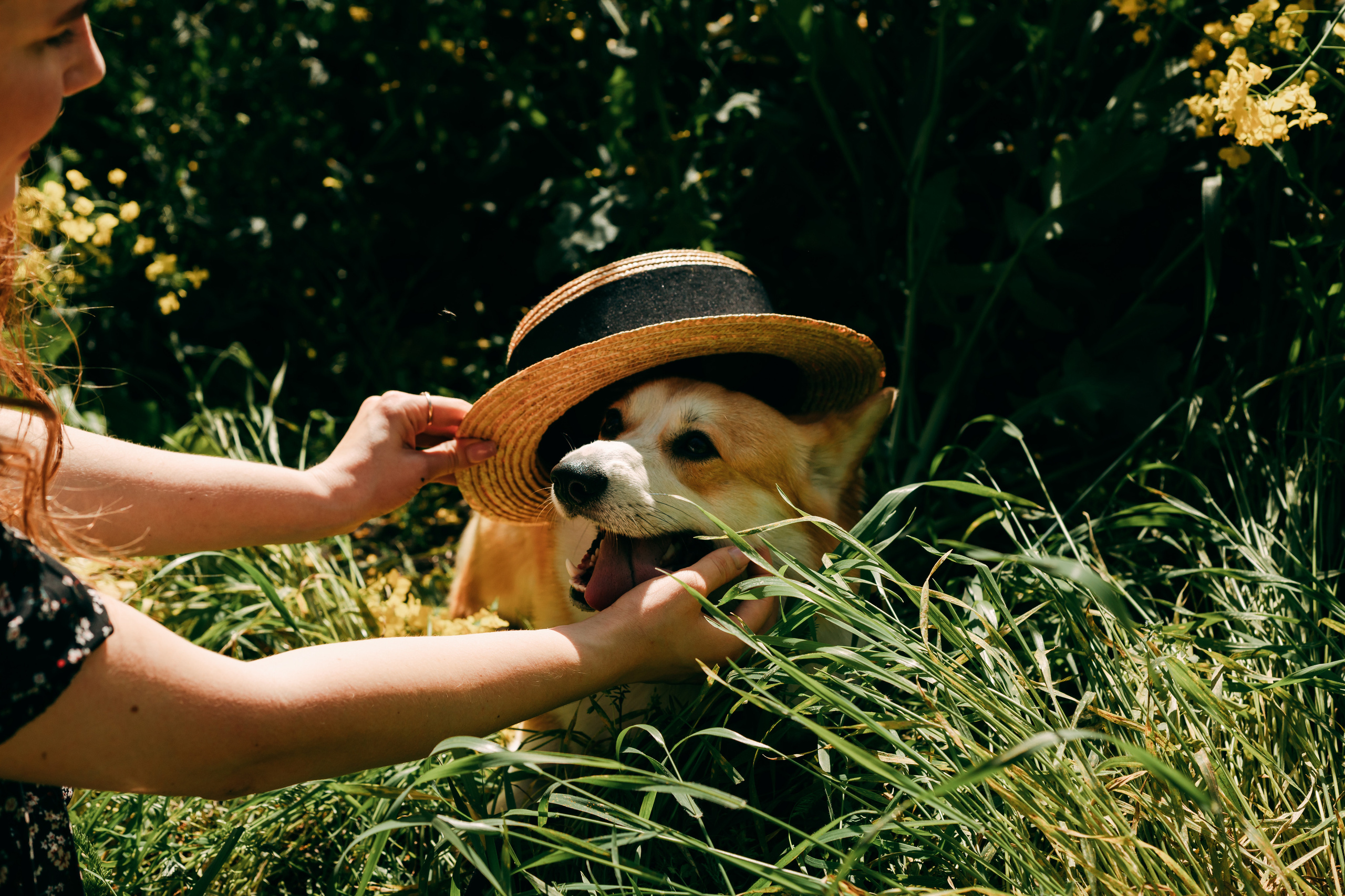 Фотосессия в рапсовом поле. Свадебный и семейный фотограф в Краснодарском крае Мария Данилкина