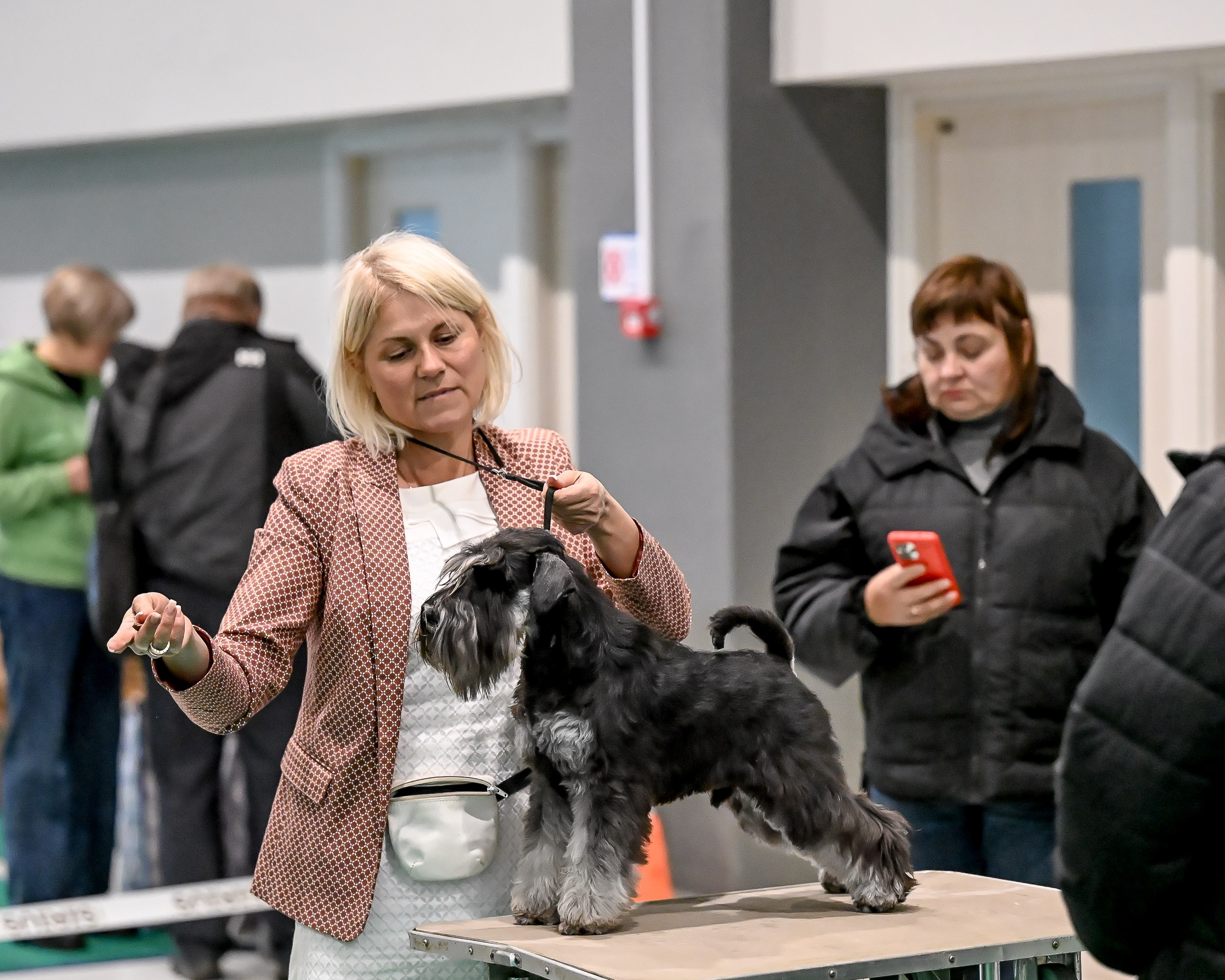 Delinso Balance Chivas Regal (Li Mu Zi Chinese Dragon x Delinso Balance Onyrico Tahoe)