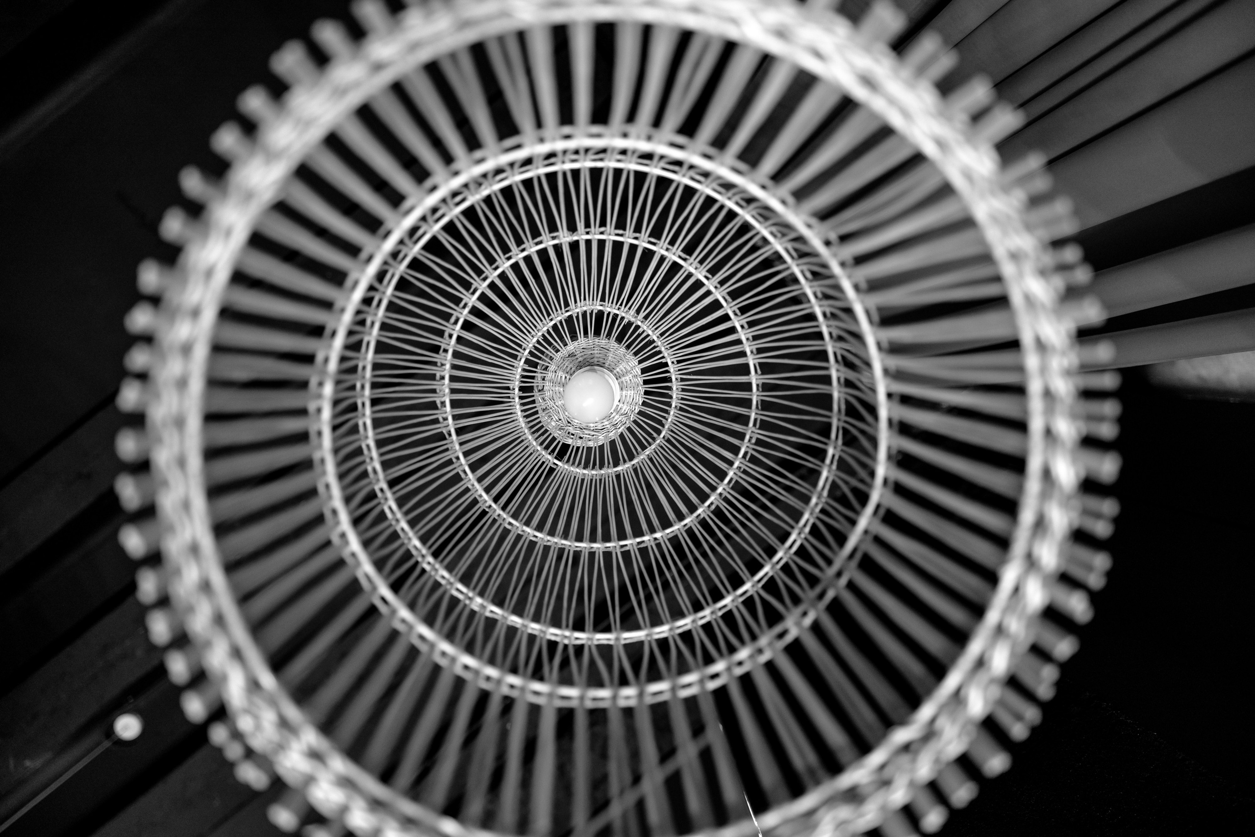 День рождения SERENIY. Свадебный репортажный семейный фотограф