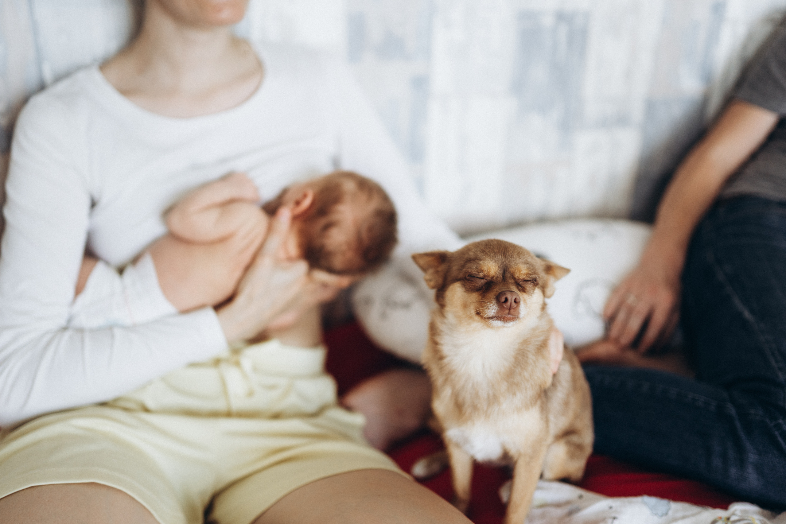 Дмитрий, Татьяна и Петенька.Домашняя история. Семейный и детский фотограф в Москве Митенкова Мария