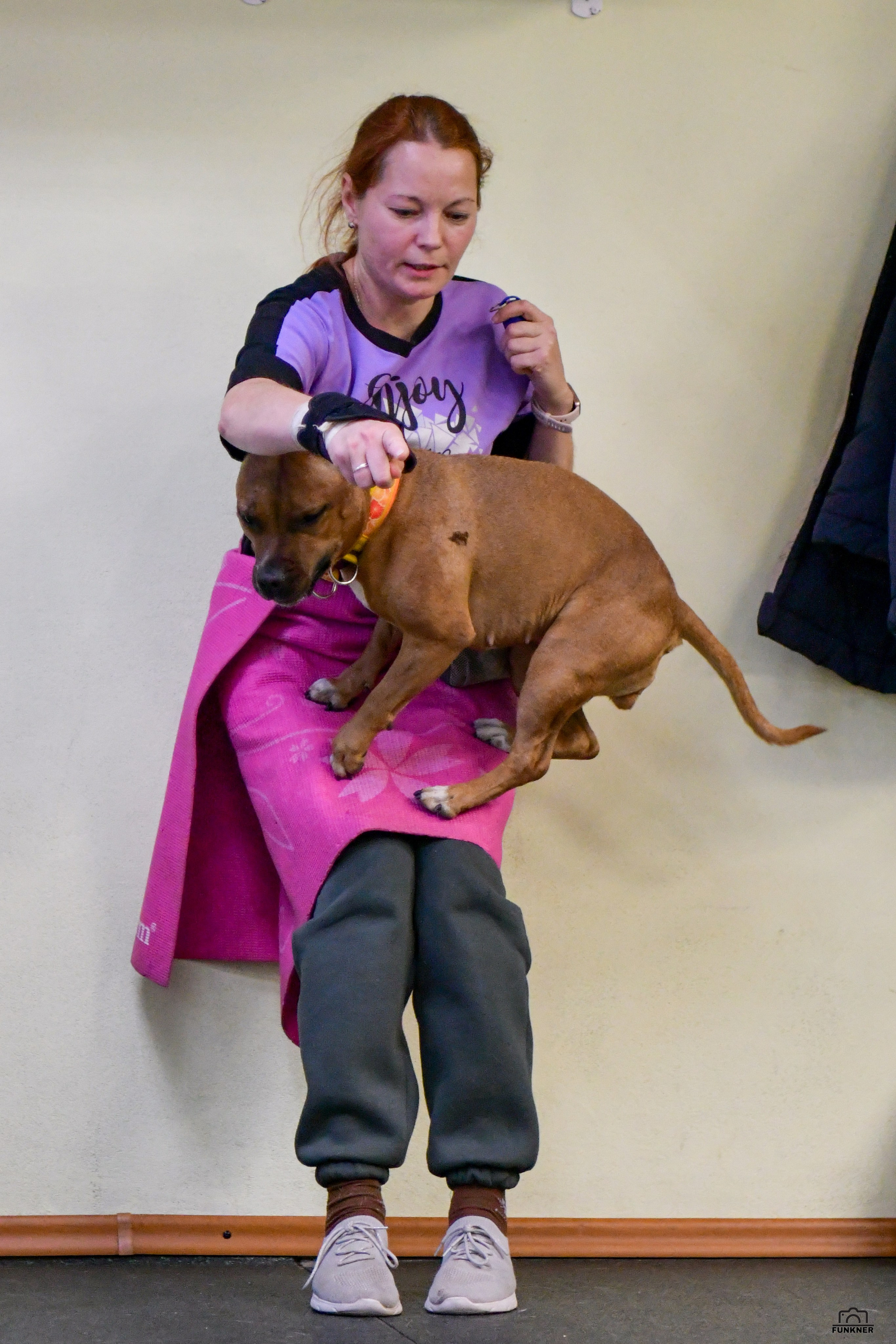 Кинологический клуб «Бодрый хвост». Свой взгляд через объектив