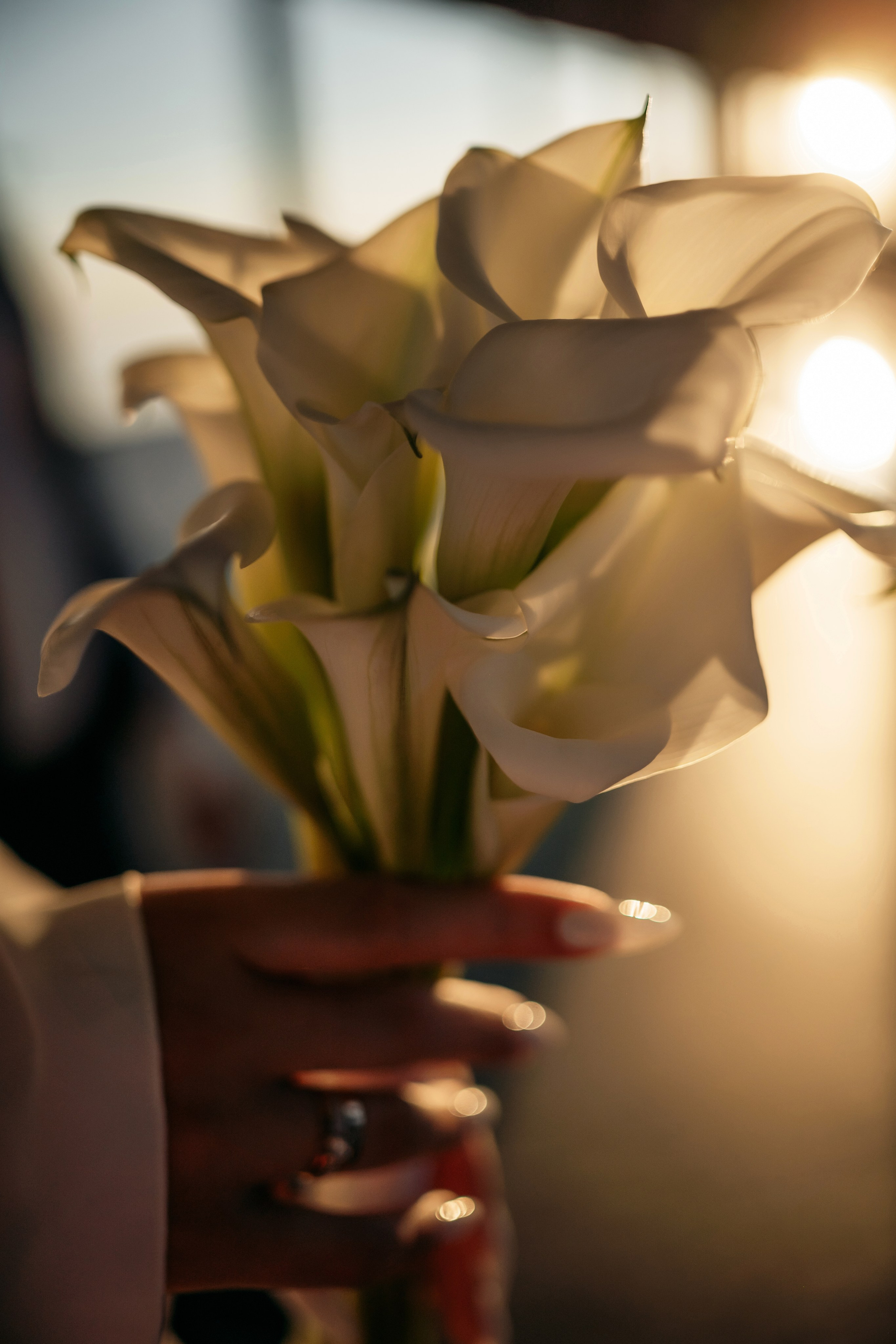 Свадьба в Винном парке в Крыму. Свадебный и семейный фотограф и видеограф, Крым, Москва, Санкт -Петербург