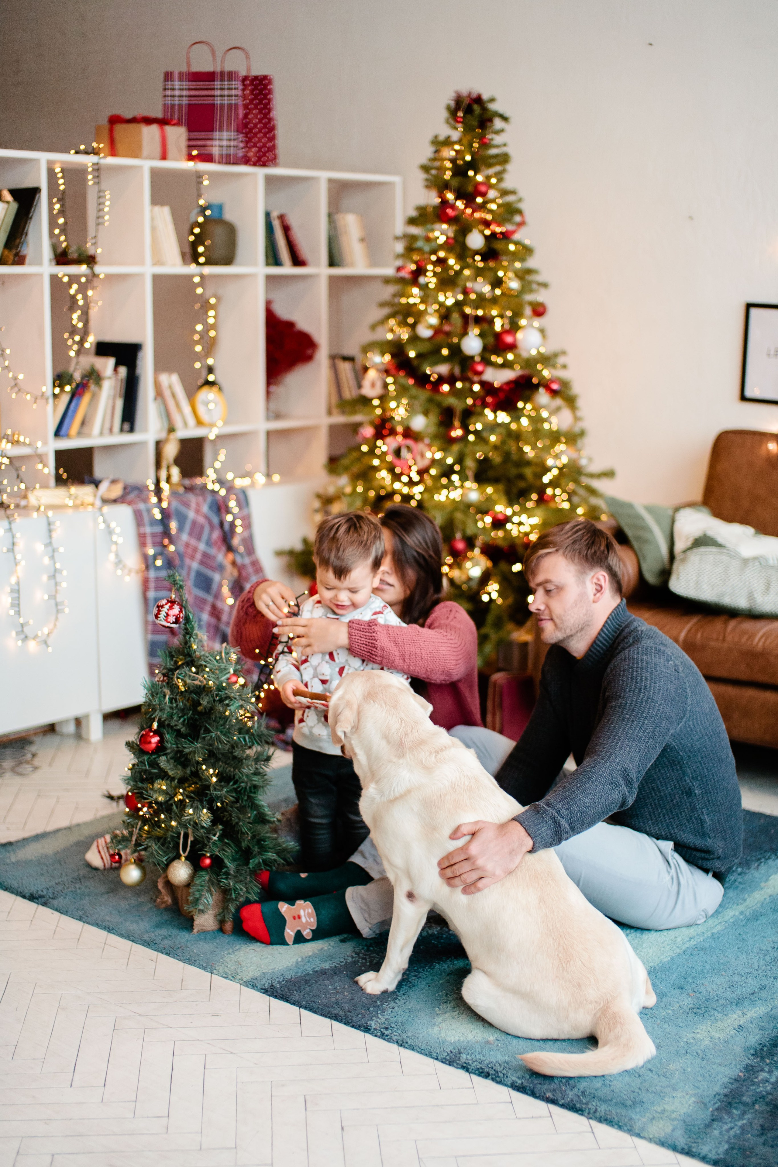 Семейная Новогодняя фотосессия в студии, фотограф в Москве