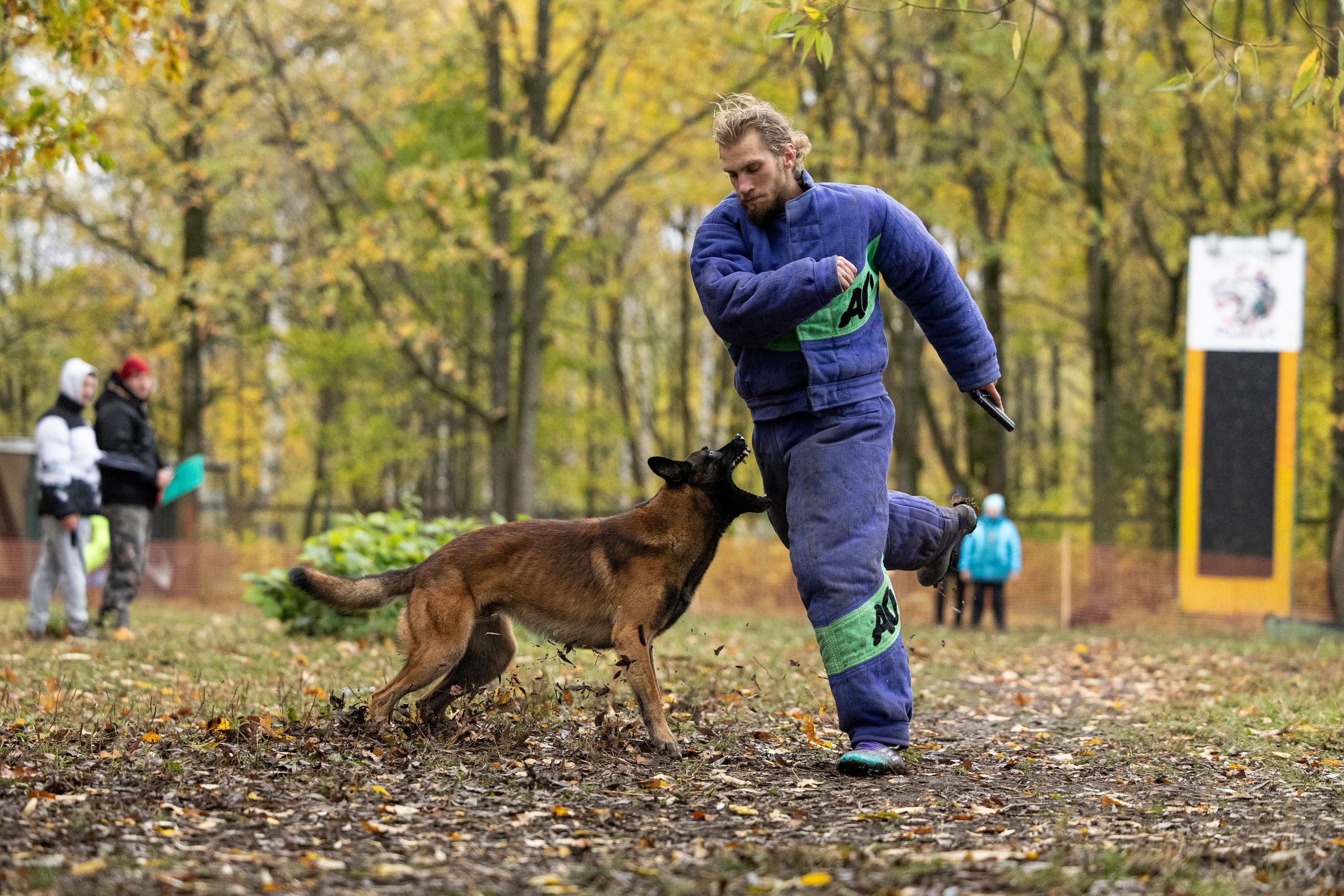 Соревнования по Мондьорингу г. Вологда. Фотограф-анималист Анна Маринич