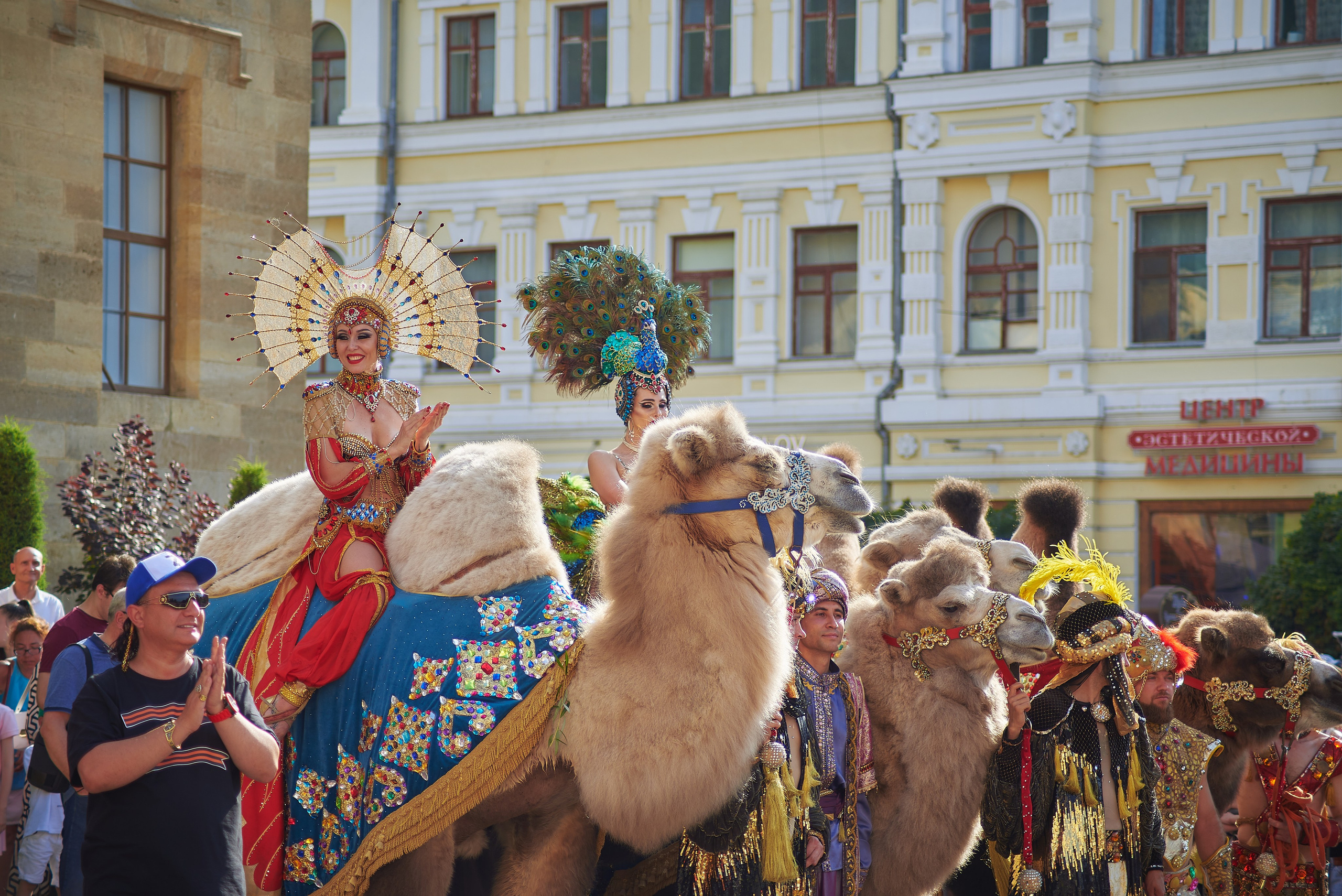Цирк. Премьера программы. Константин Кордонский | Интерьерный и food-фотограф в Кисловодске и КМВ