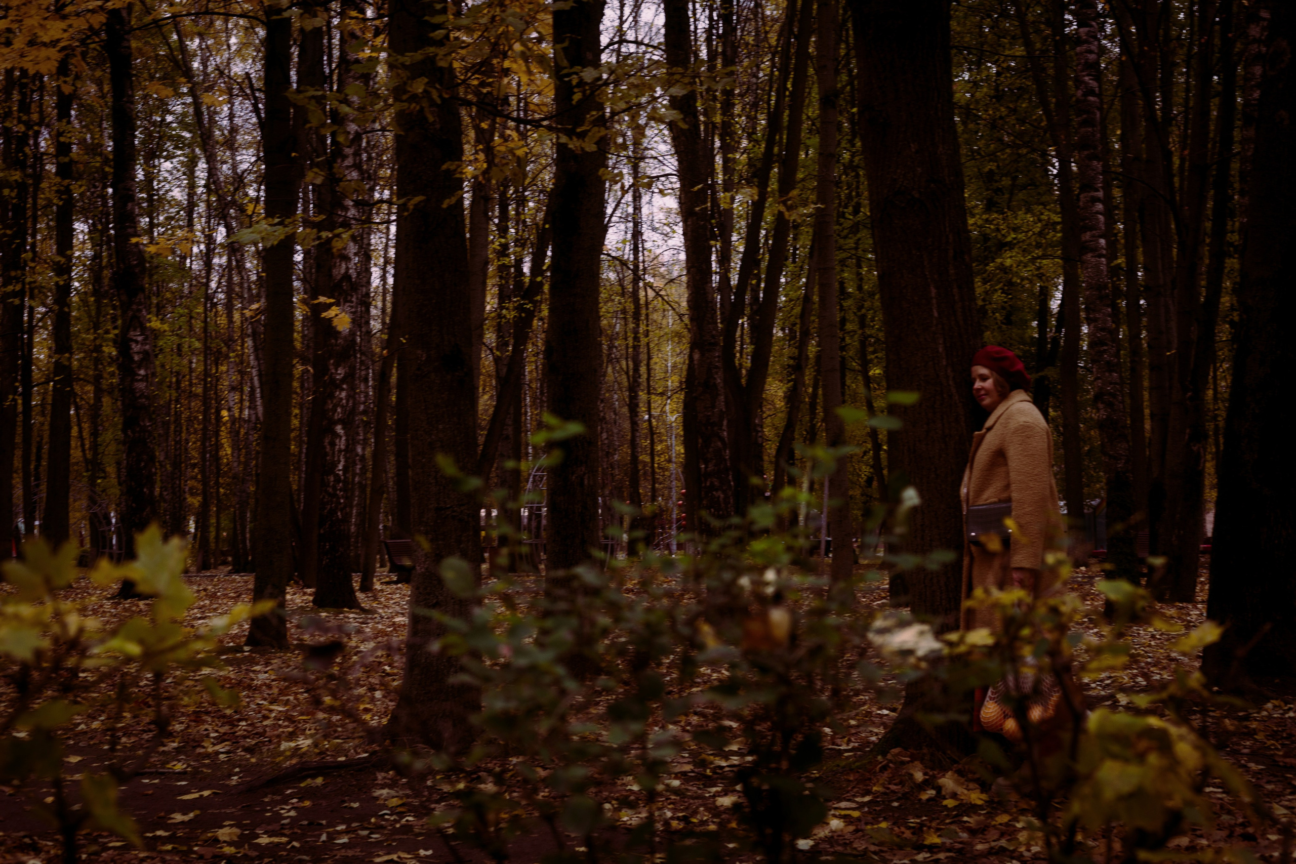 Ностальгия. Ekaterina Beridze