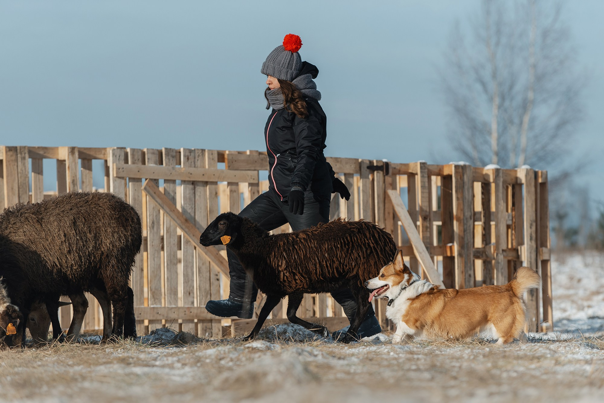 Пастьба. Фотограф Анна Тюрина