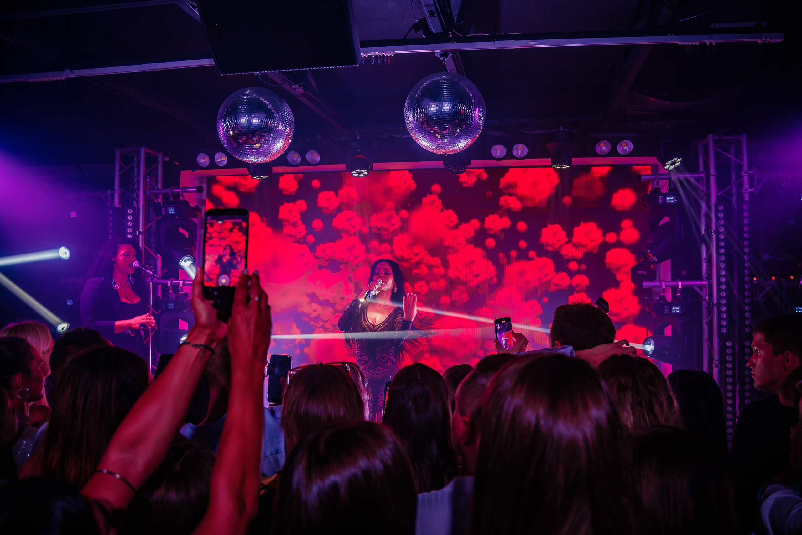 «Бьянка"_Чайка на пляже_Ялта_25.07.2025 г. Аминов Руслан | Фотограф