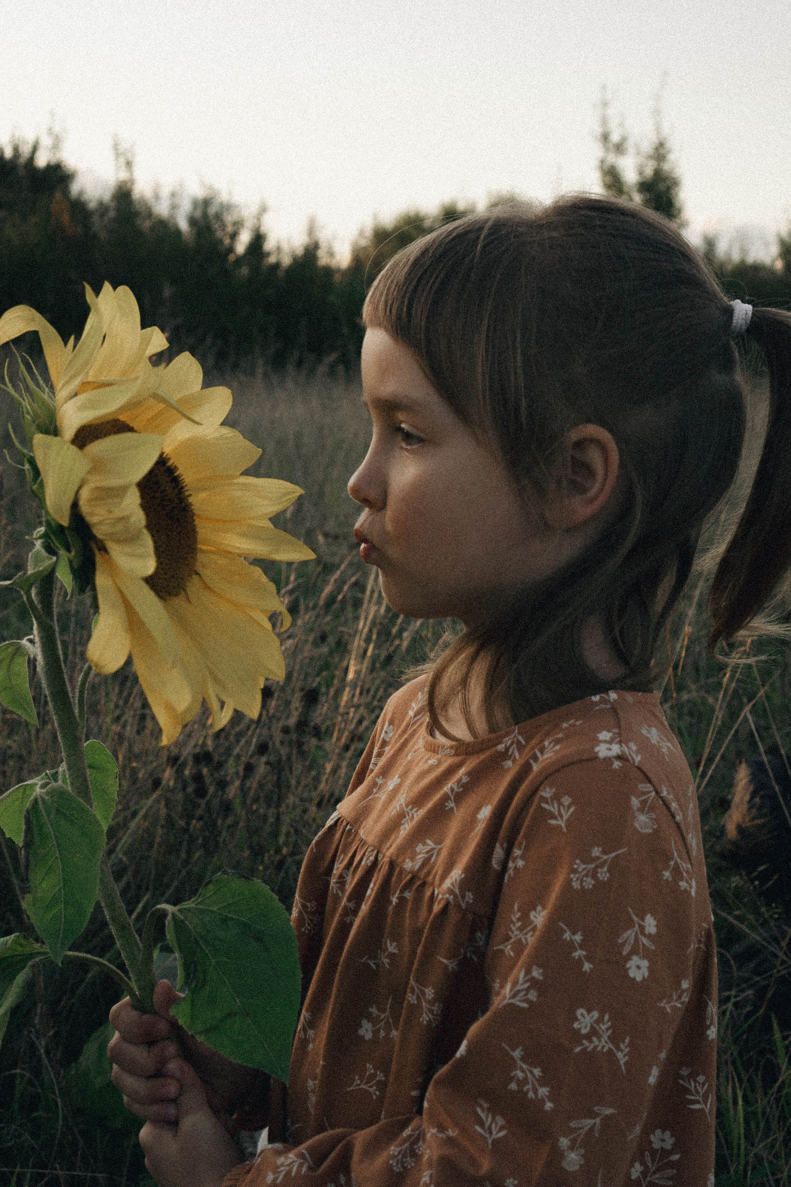 Семейная серия. Профессиональный фотограф, Санкт-Петербург — Виктория Богомолова