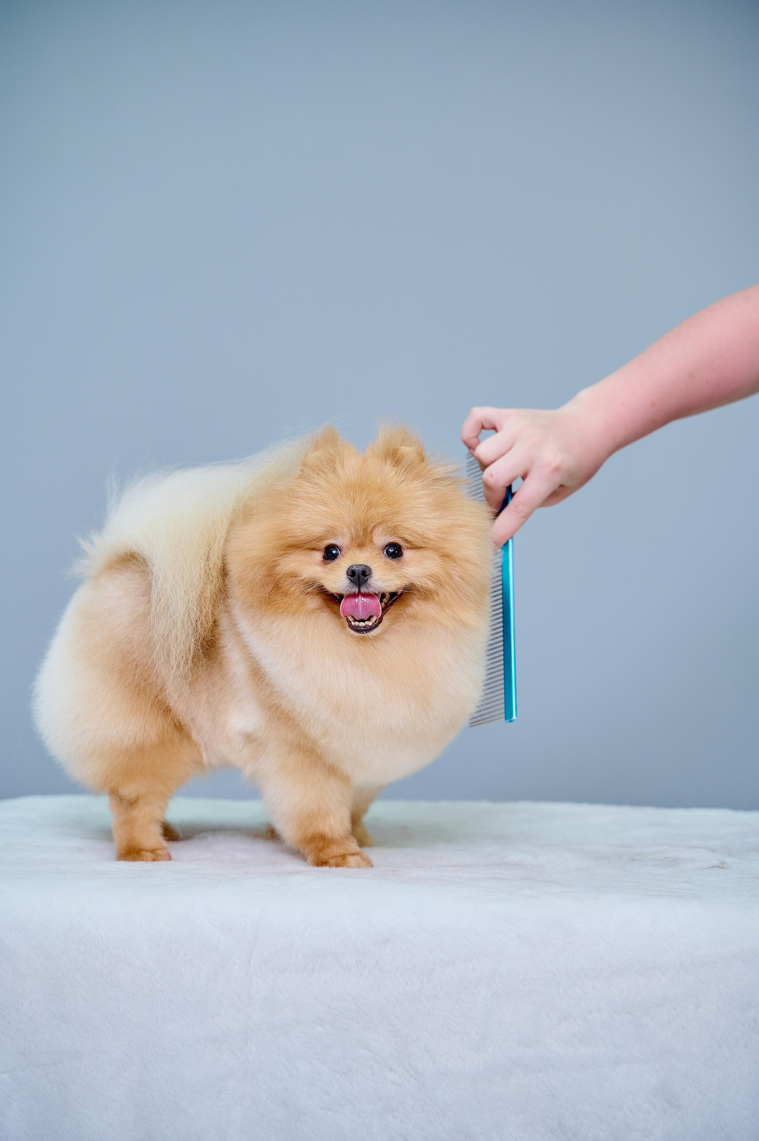 Отзывы. Фотограф в Магнитогорске Татьяна Лоскутова