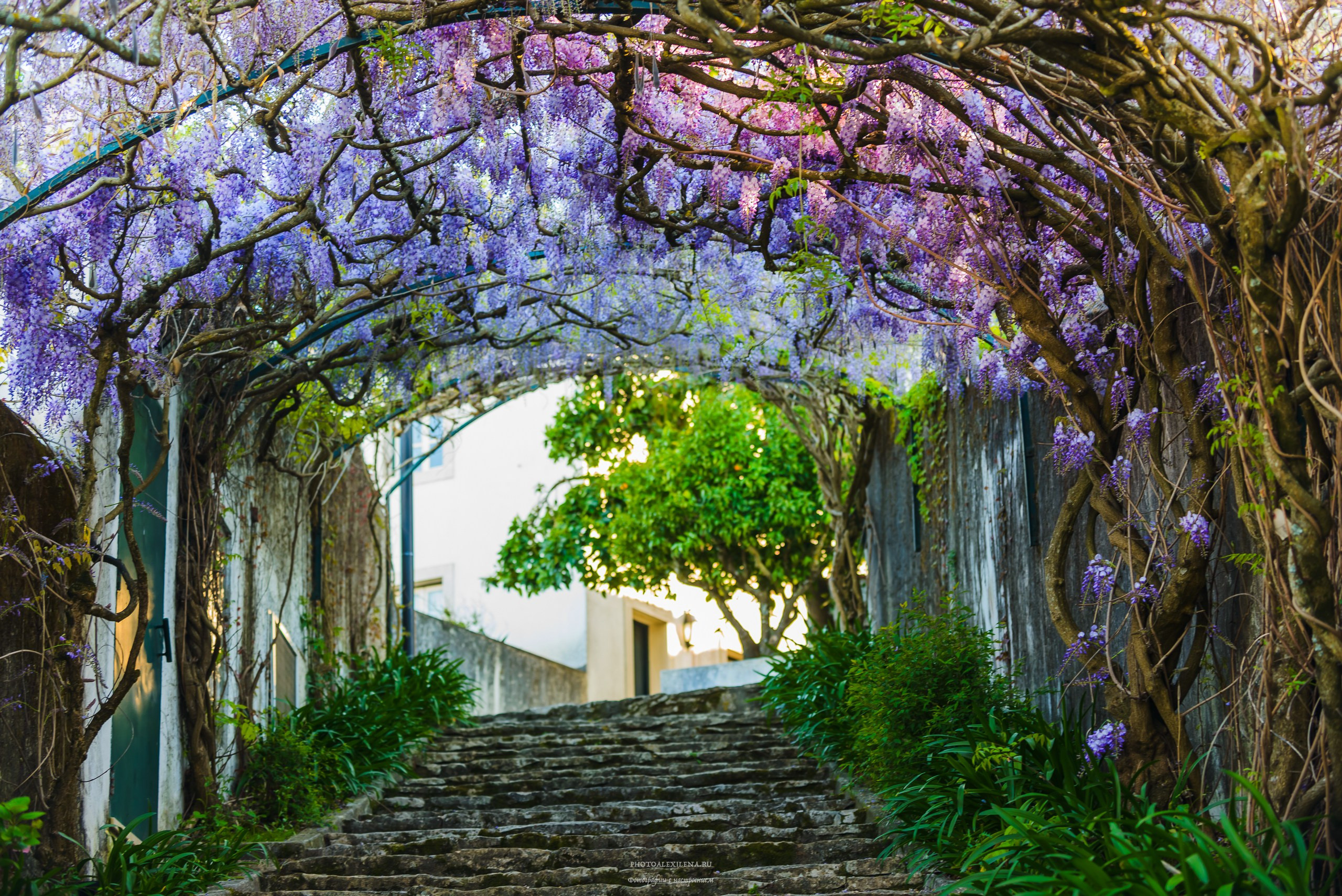 Город. Авторские стильные фотокартины