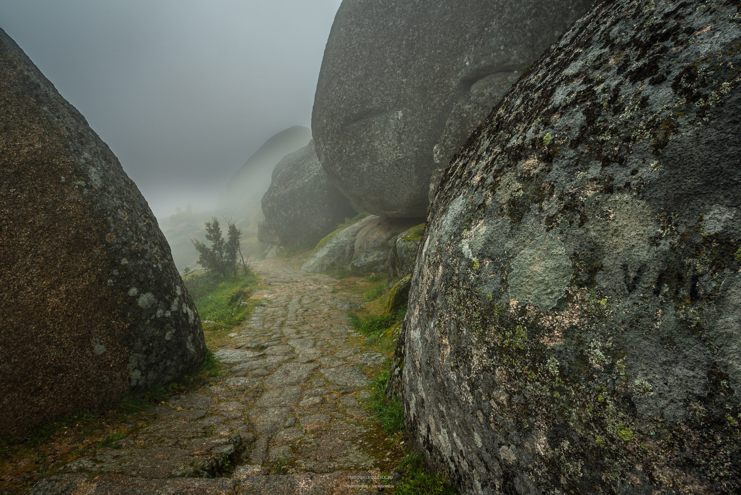 Пейзажная фотография. Авторские стильные фотокартины