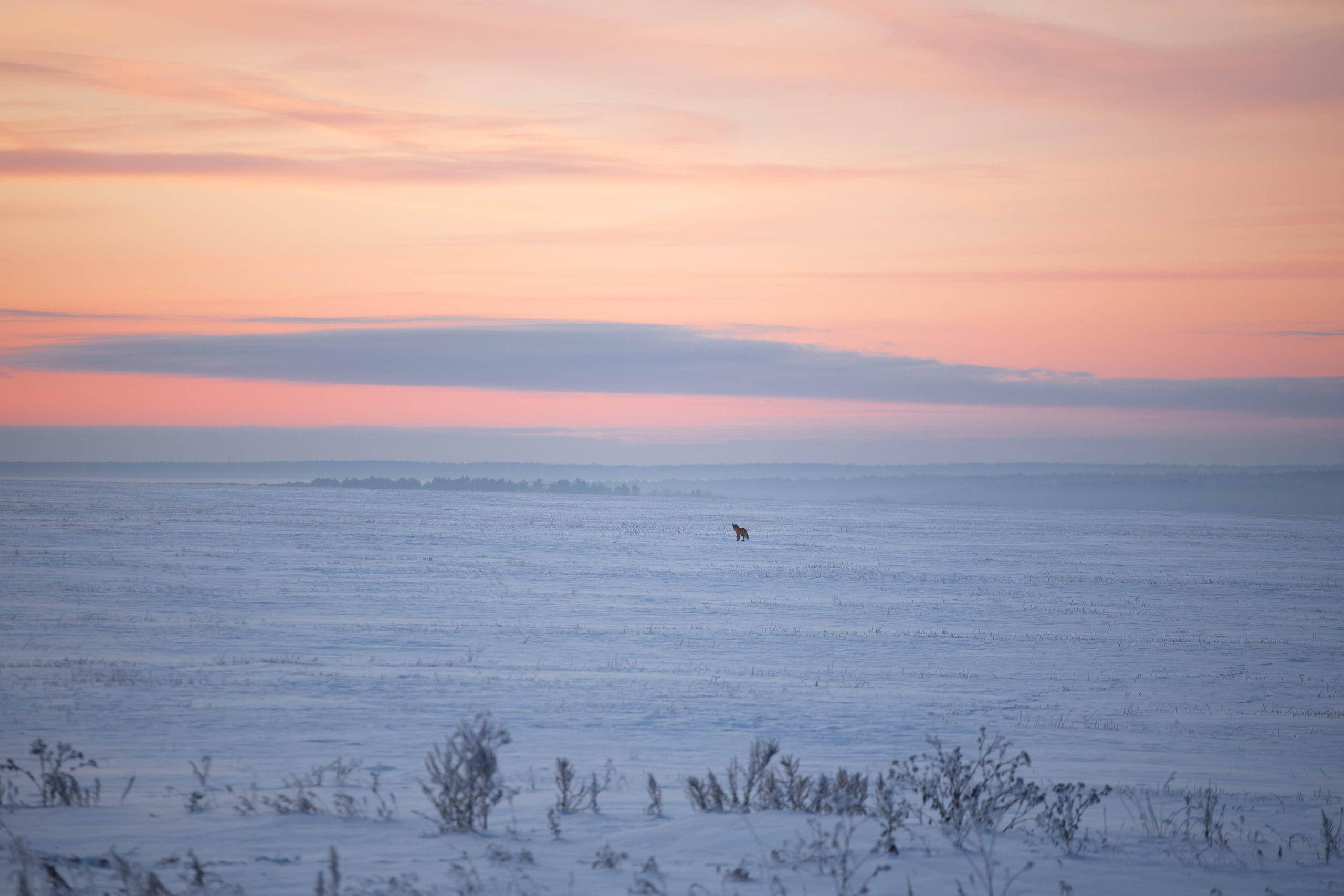 Landscape. Фотохудожник Мила Мокина-Хайруллова. Екатеринбург