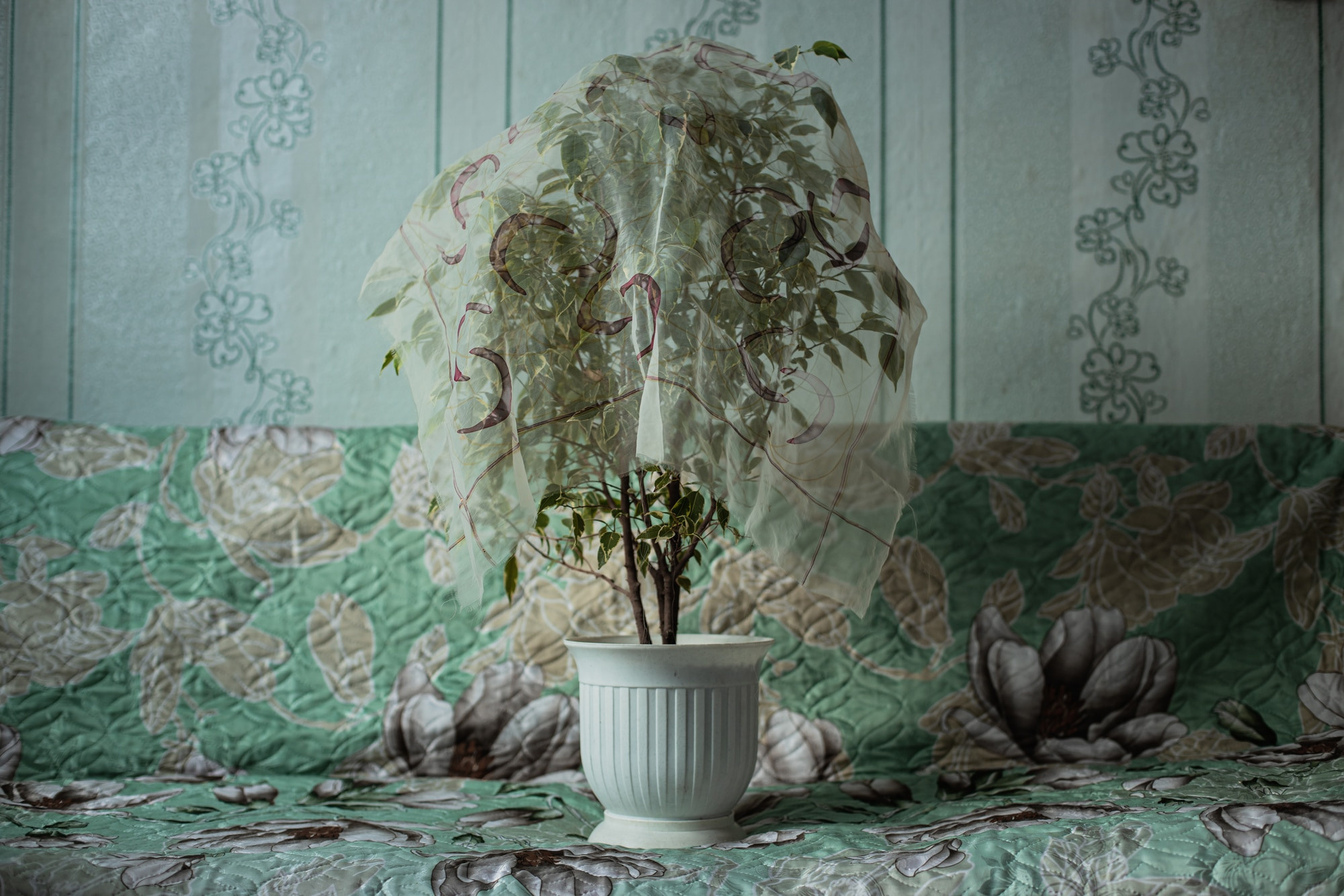 Creator of life. Фотохудожник Мила Мокина-Хайруллова. Екатеринбург