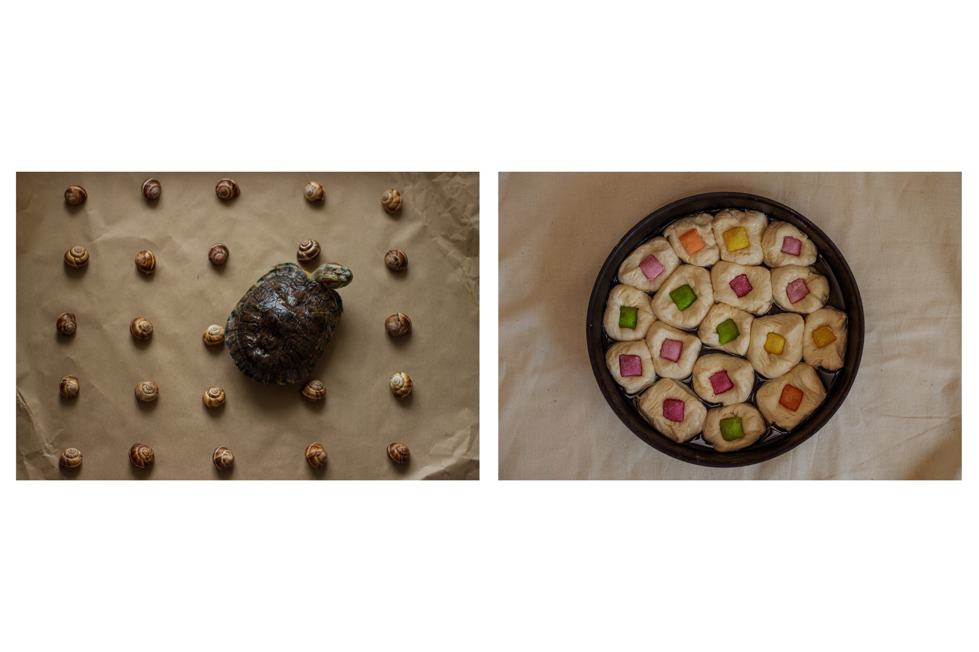 Creator of life. Фотохудожник Мила Мокина-Хайруллова. Екатеринбург