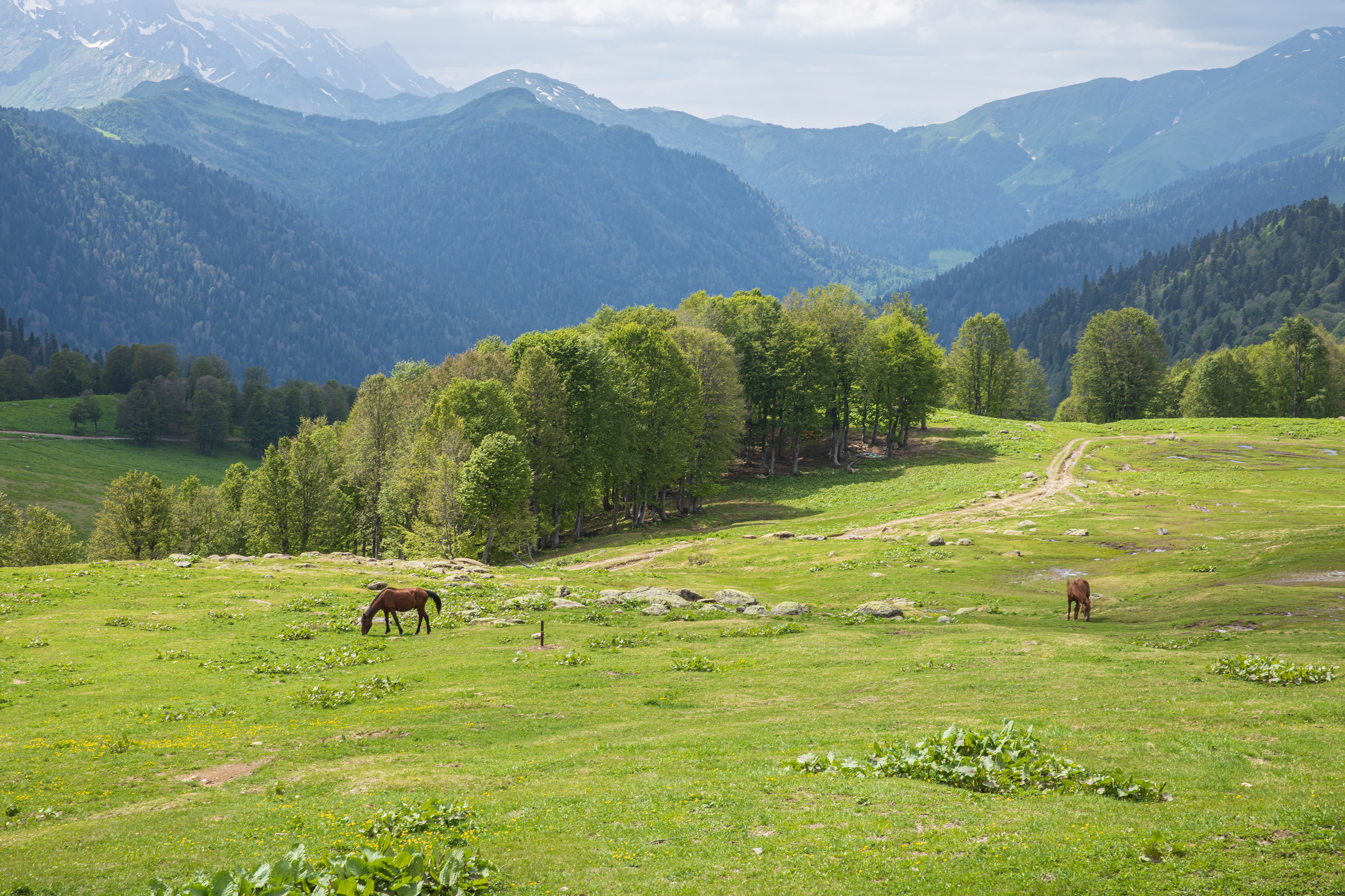 Landscape. Фотохудожник Мила Мокина-Хайруллова. Екатеринбург