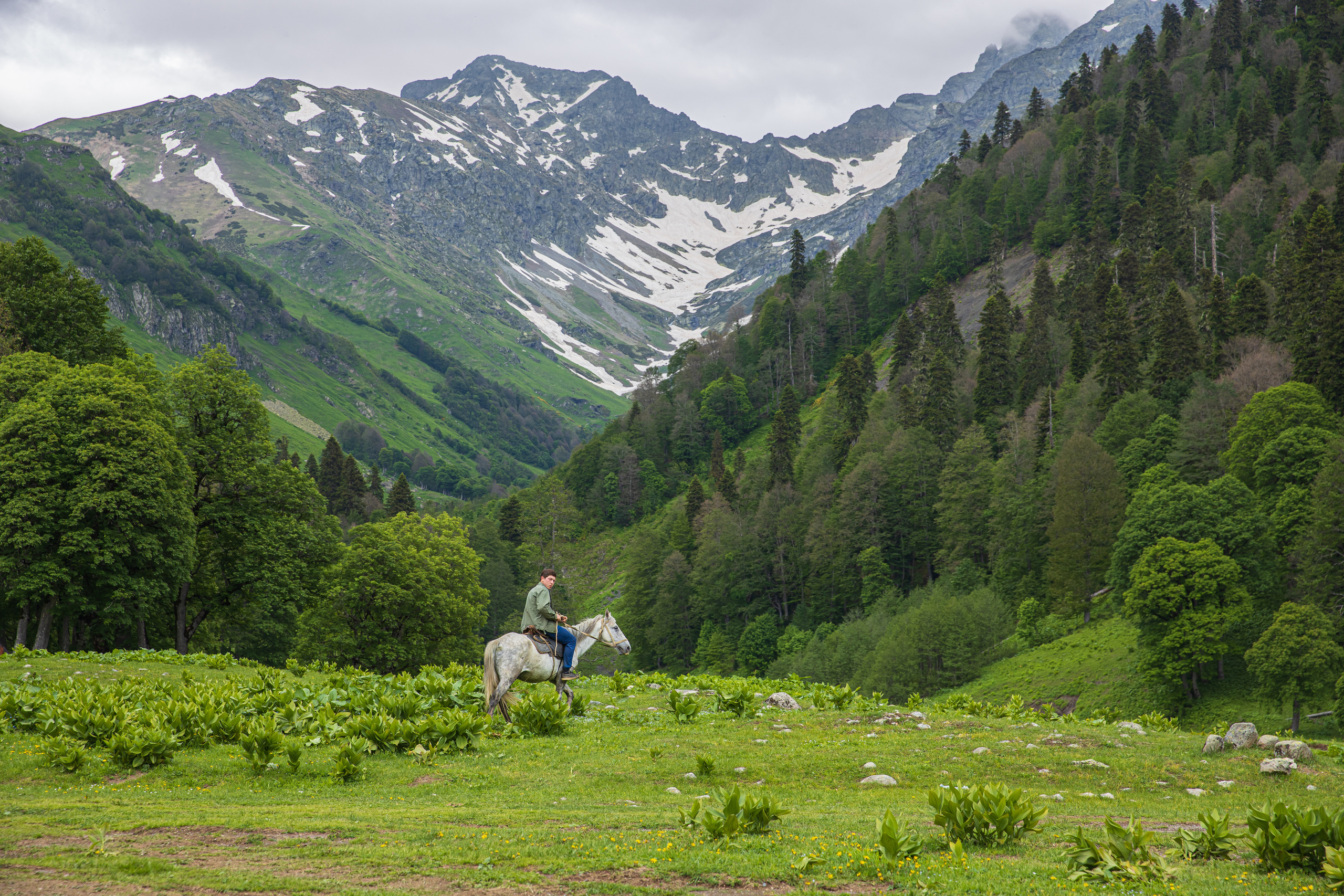Landscape. Фотохудожник Мила Мокина-Хайруллова. Екатеринбург