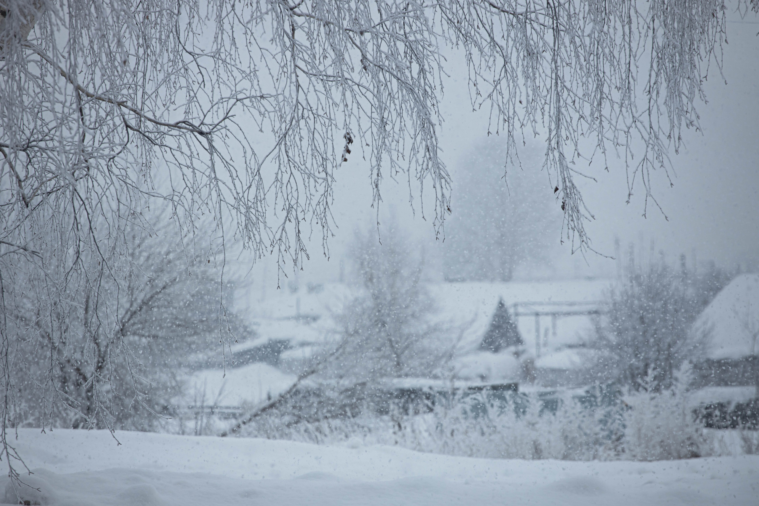 Landscape. Фотохудожник Мила Мокина-Хайруллова. Екатеринбург
