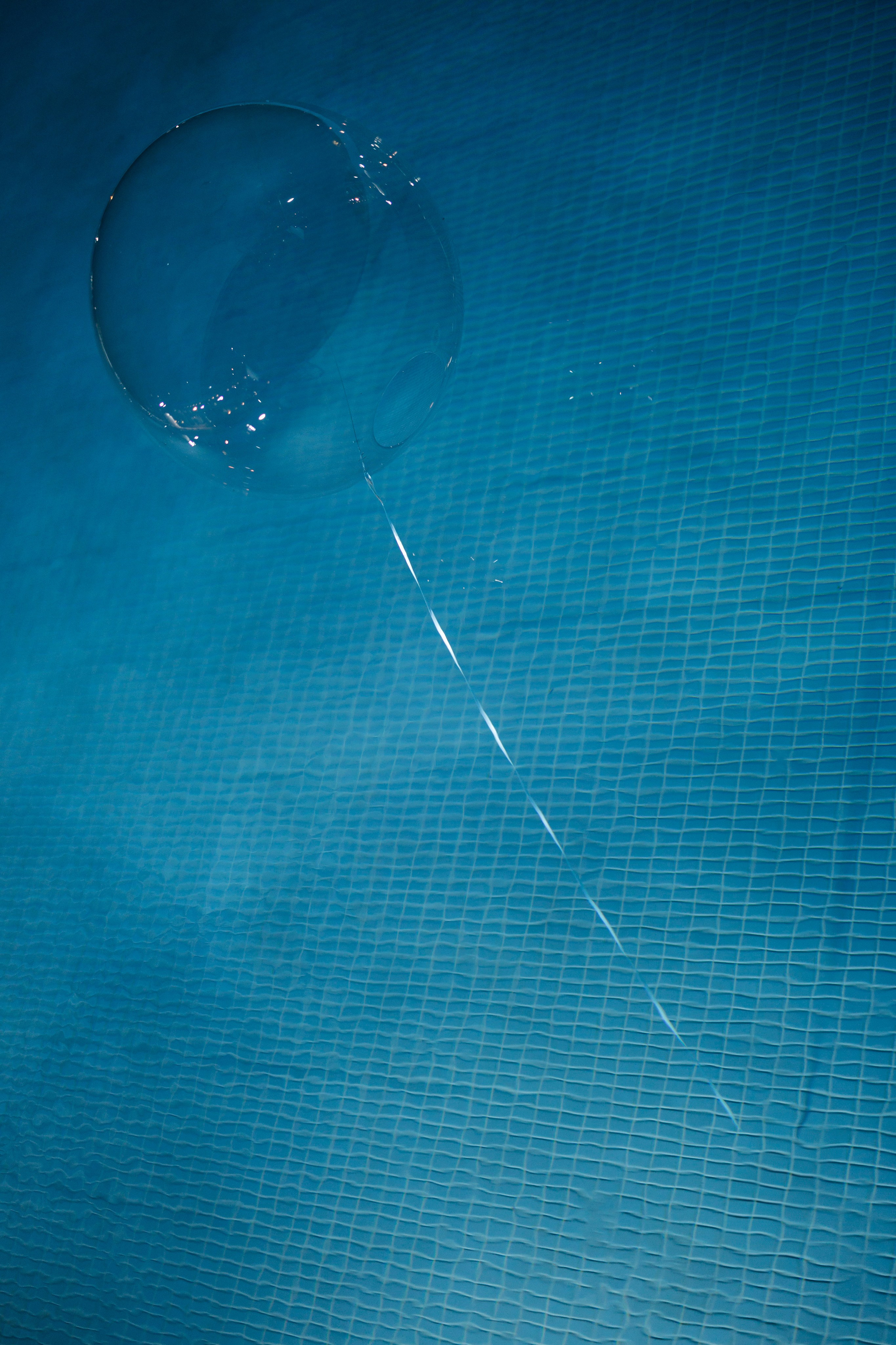 Хупа. Свадебный фотограф Москва Мотеюнайте Виктория