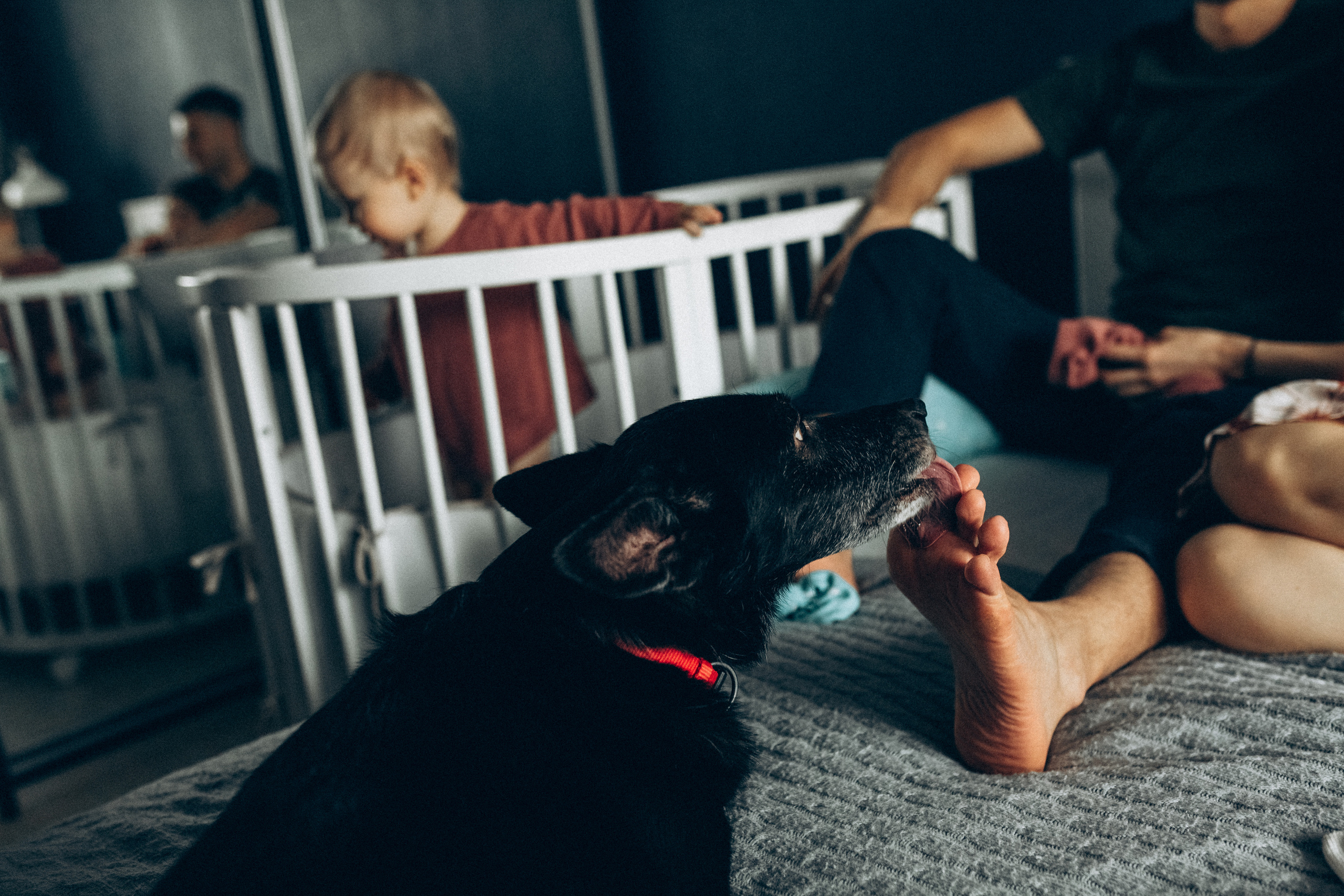 Вадим Света Стасик. Семейный фотограф в Минске и РБ Стеликова Анна