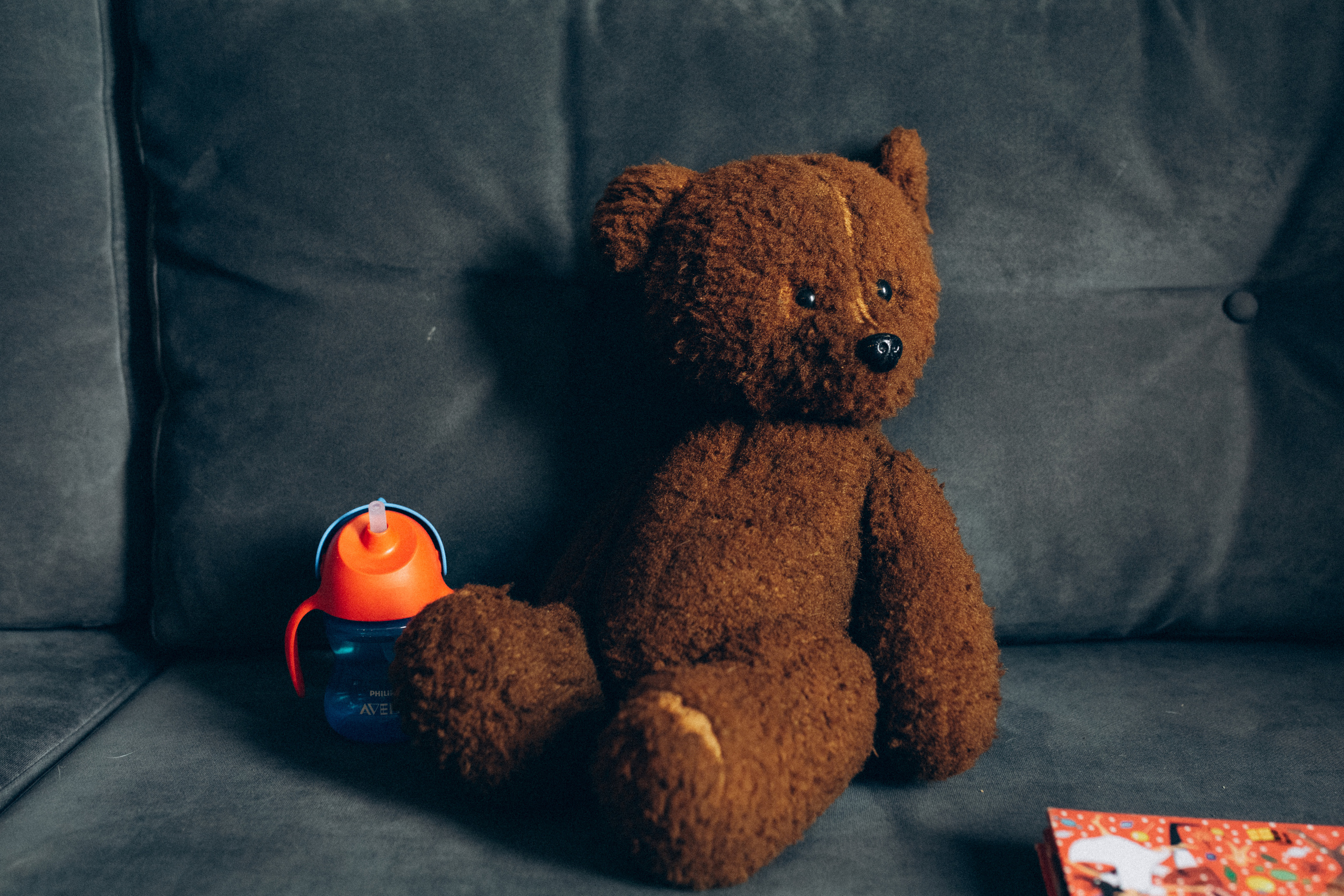 Вадим Света Стасик. Семейный фотограф в Минске и РБ Стеликова Анна