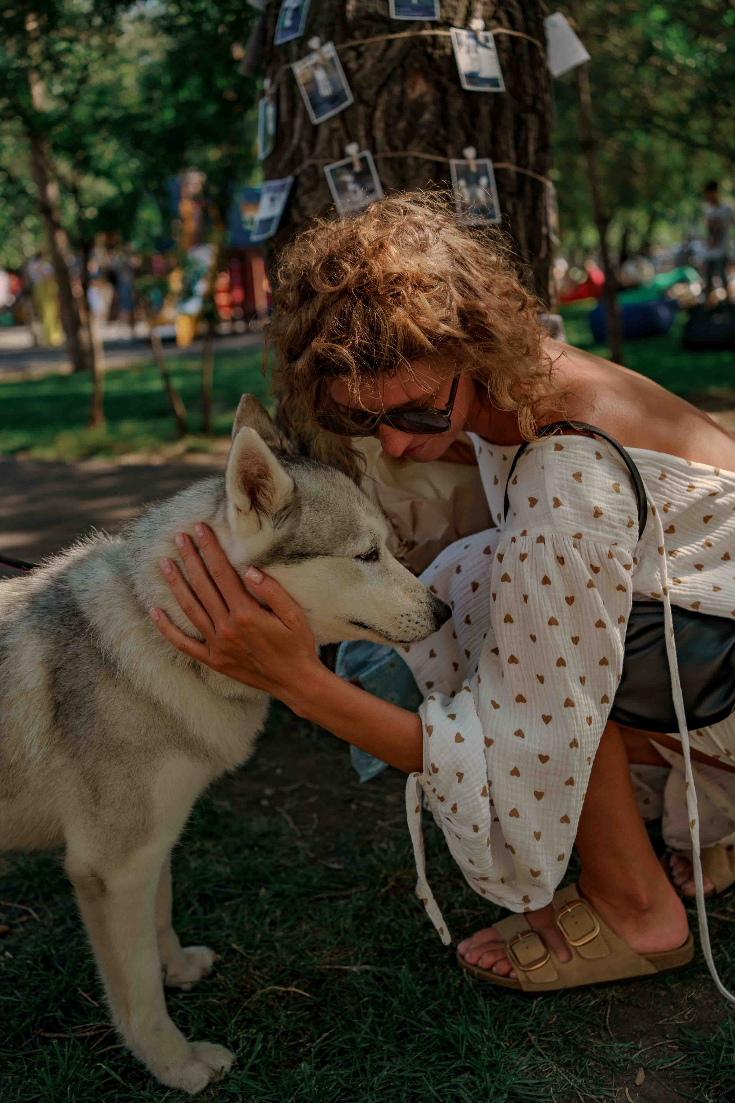 Репортажные и другие. Фотограф в Красноярске Евгения Дозорцева (Ахиезер)