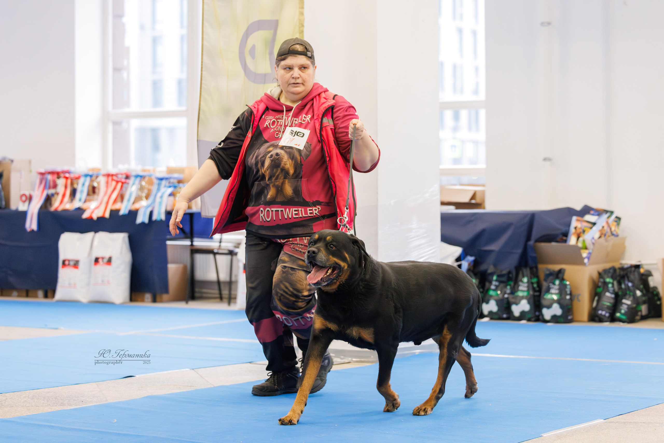 Питер ротвейлеры 18.01,Крокус 19.01.2025. Фотограф-анималист Юлия Германика